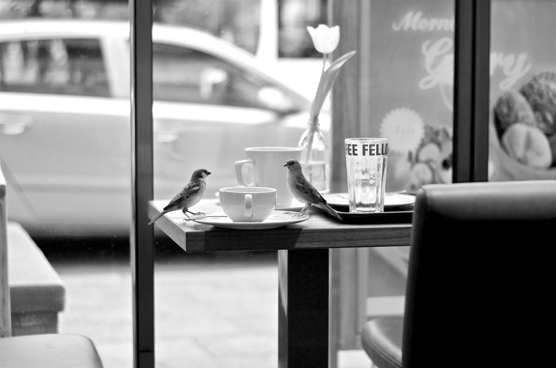 Free Unsplash photo from Marjan Grabowski