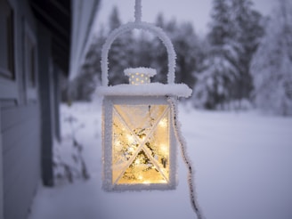 white pendant lamp hanging on ceiling outside of snow covered forest