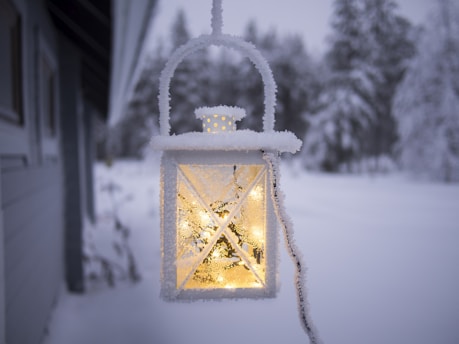 white pendant lamp hanging on ceiling outside of snow covered forest