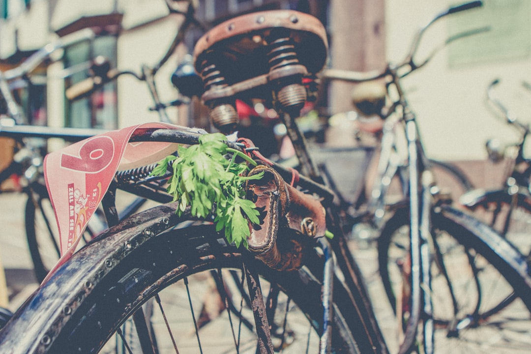 selective focus photography of brown commuter bicycle