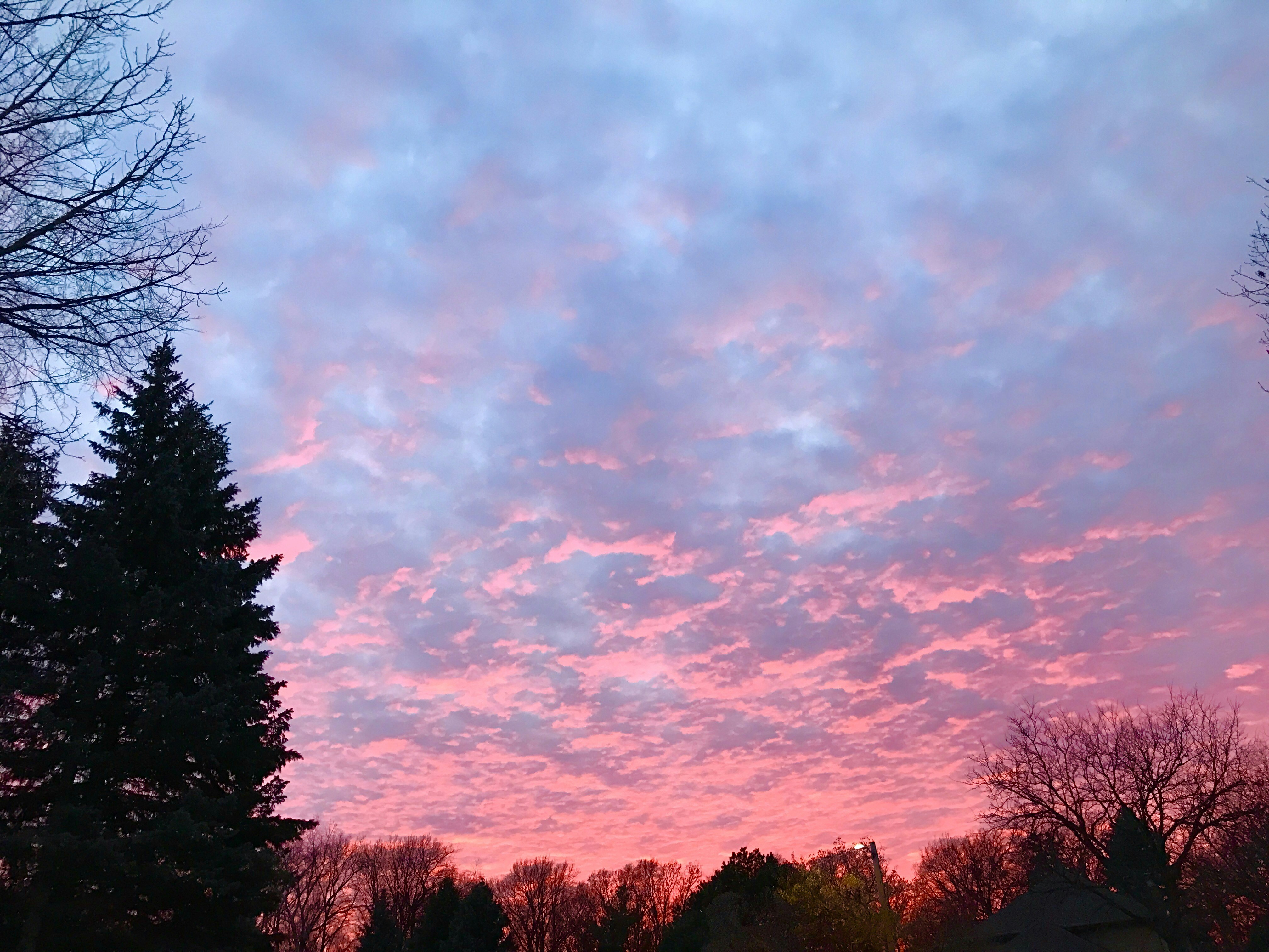 Free Unsplash photo from Graeme Thickins