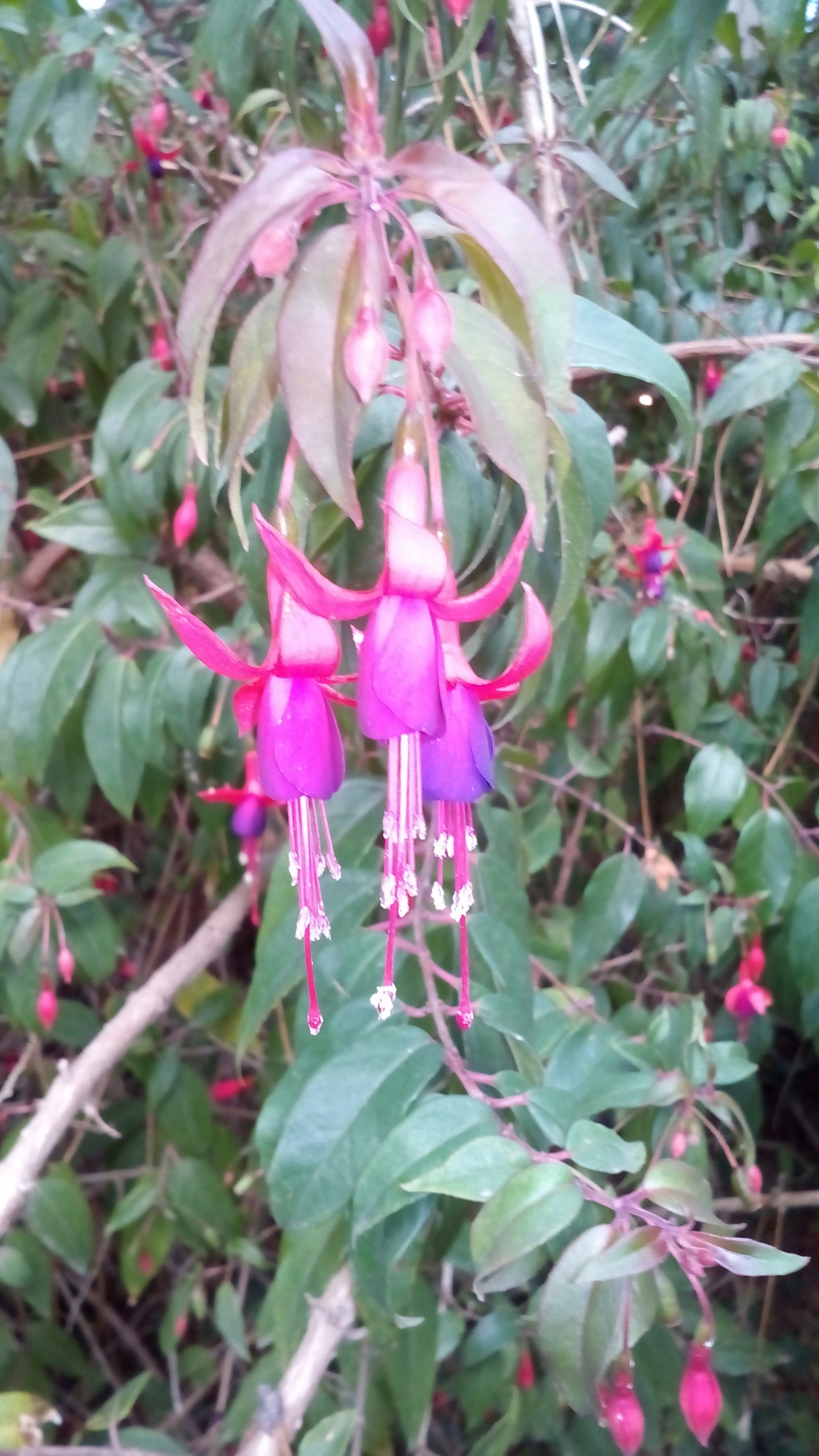 Free Unsplash photo from Gianni Eransus