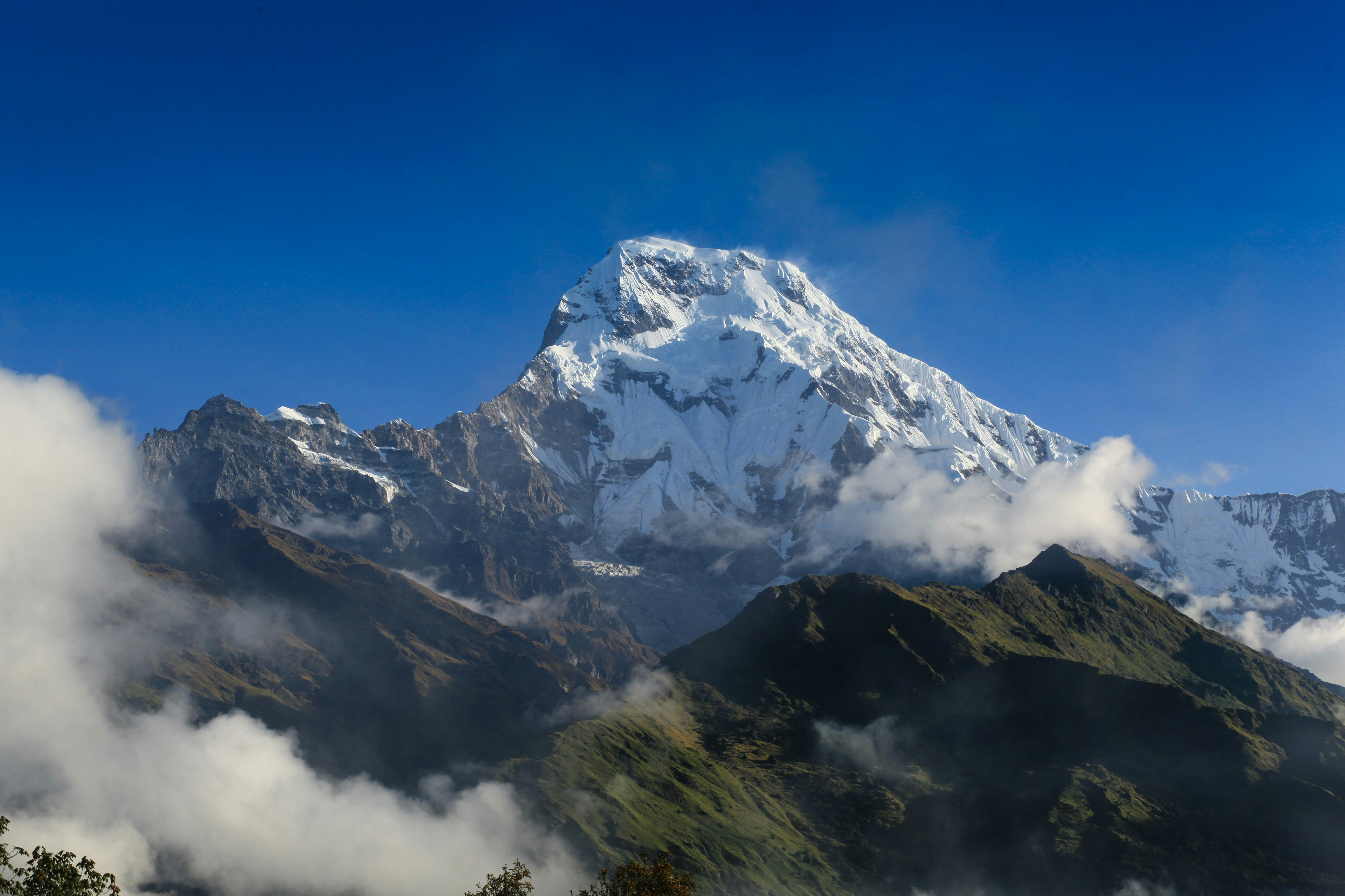 Free Unsplash photo from oxana v