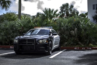 A police car parked in an outdoor area surrounded by dense green foliage, including palm trees. The sky is partly cloudy, and the car is facing forward with a visible front grille and headlights.