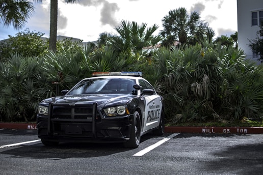 A police car parked in an outdoor area surrounded by dense green foliage, including palm trees. The sky is partly cloudy, and the car is facing forward with a visible front grille and headlights.