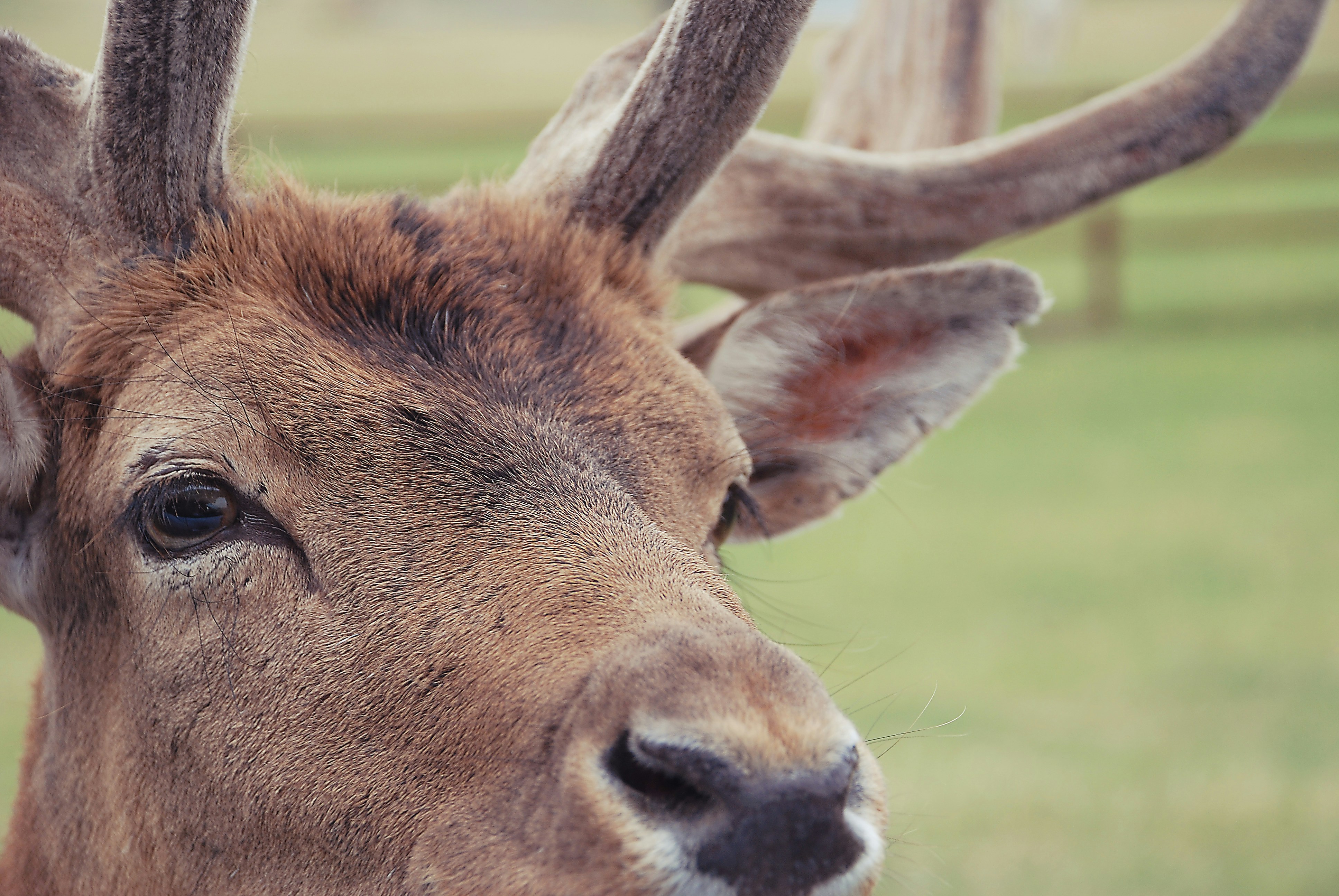 Photo by keithhardy2001