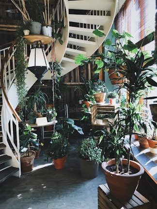 casa e cusina sconti imperdibili