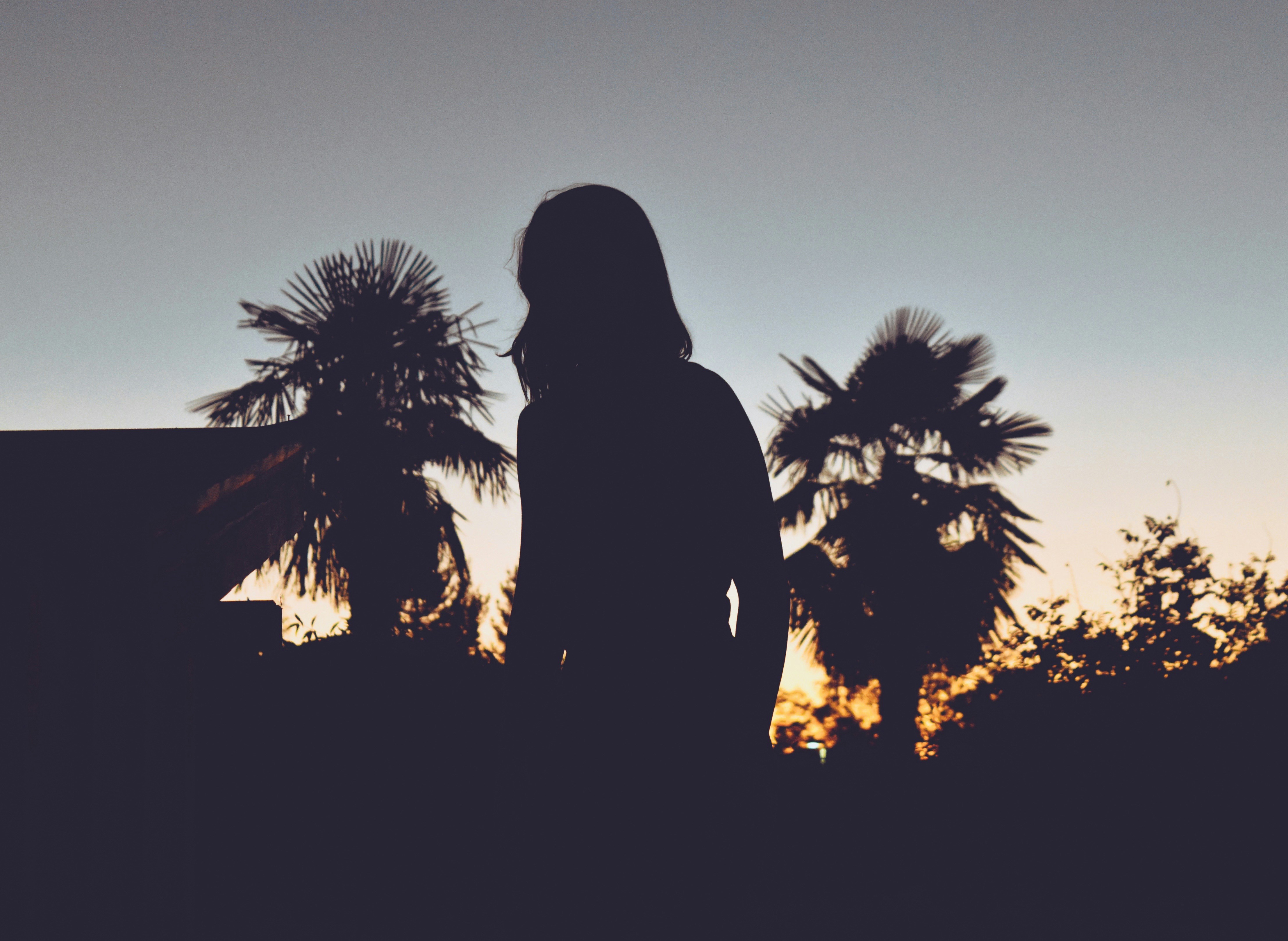 Free Unsplash photo from Connor Ripple