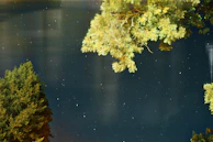 A starry night sky reflected on calm water, evoking peace and cosmic depth.