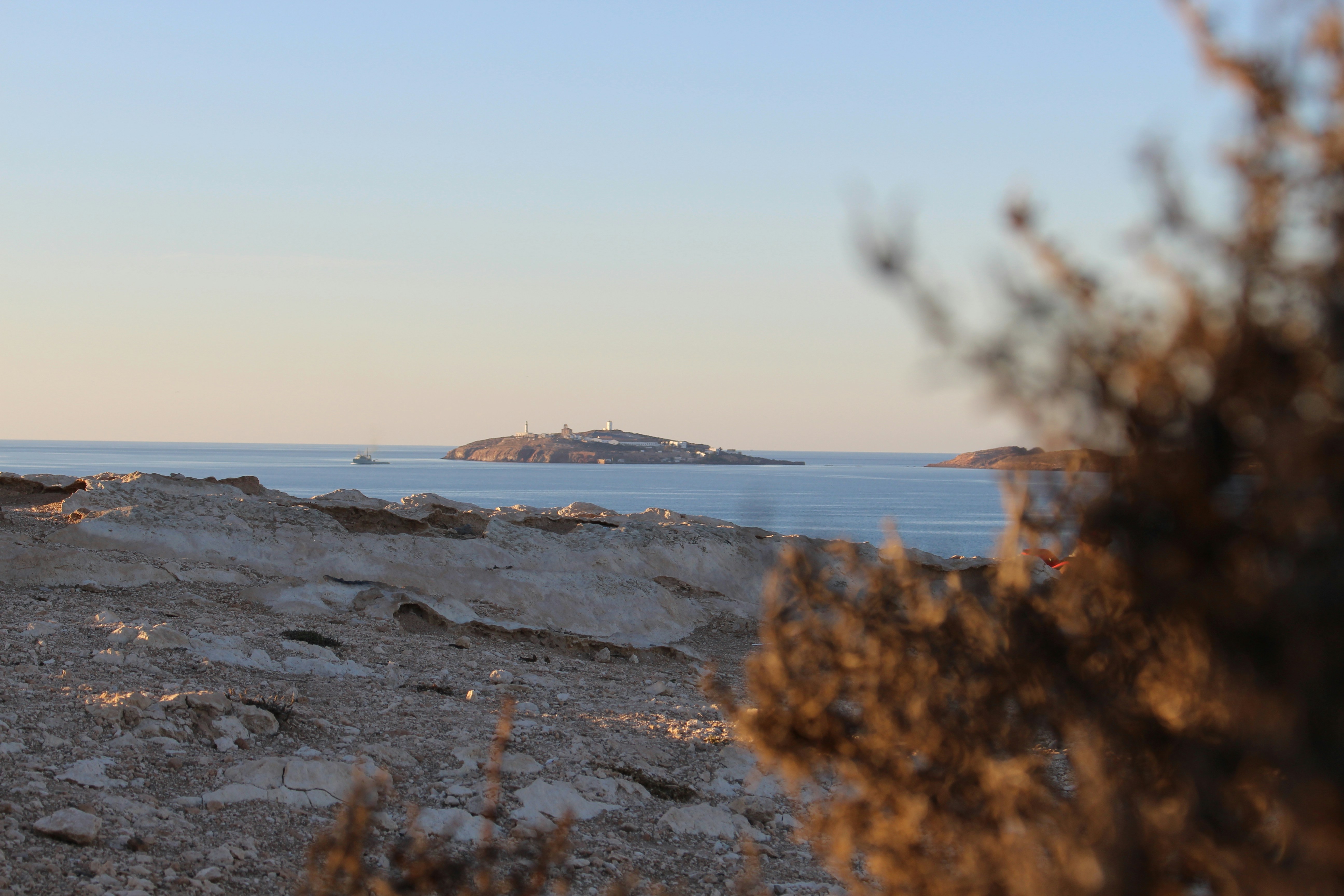 Free Unsplash photo from tarik bou