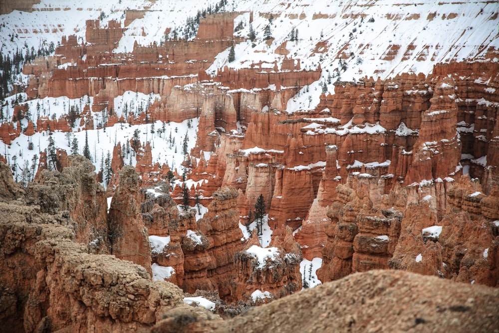 brown and white rock formation