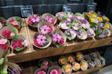 An assortment of small flower bouquets in various colors are arranged neatly on wooden shelves. The bouquets feature bright and vibrant flowers such as daisies, roses, and carnations. The display has signage with pricing details in a retail setting.