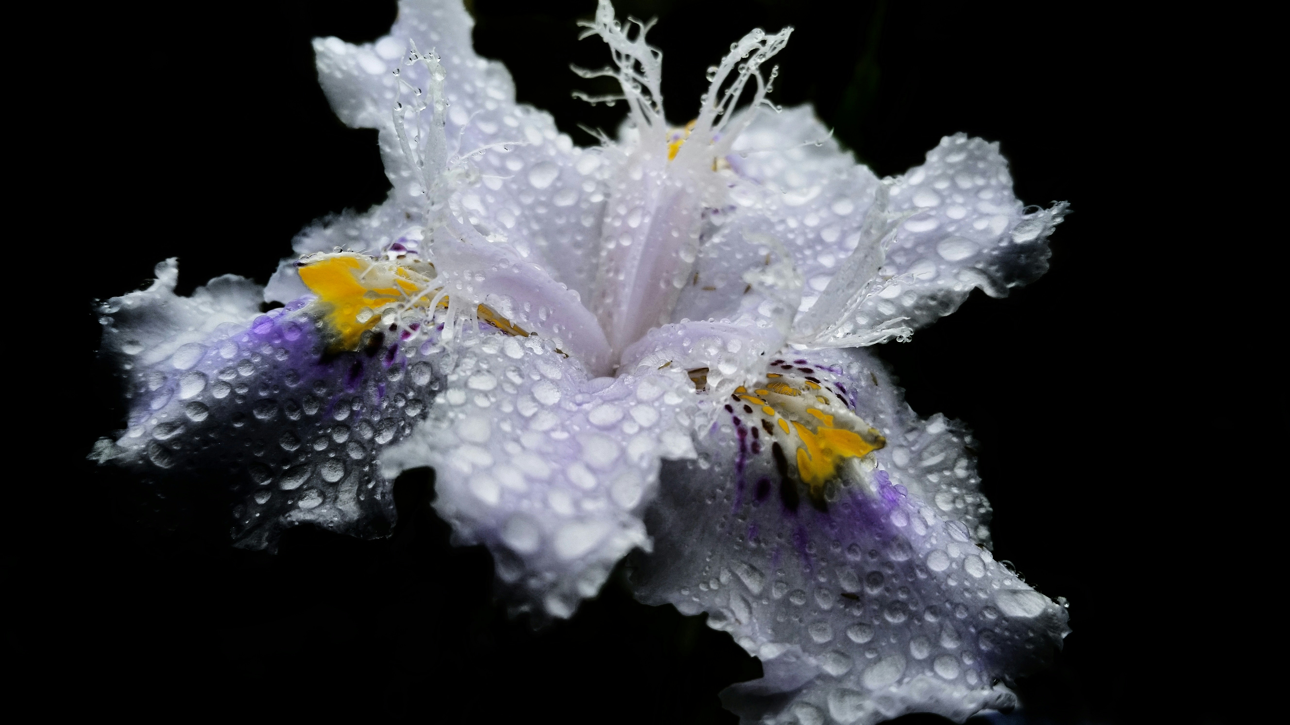 Free Unsplash photo from Zhang Qinchuan