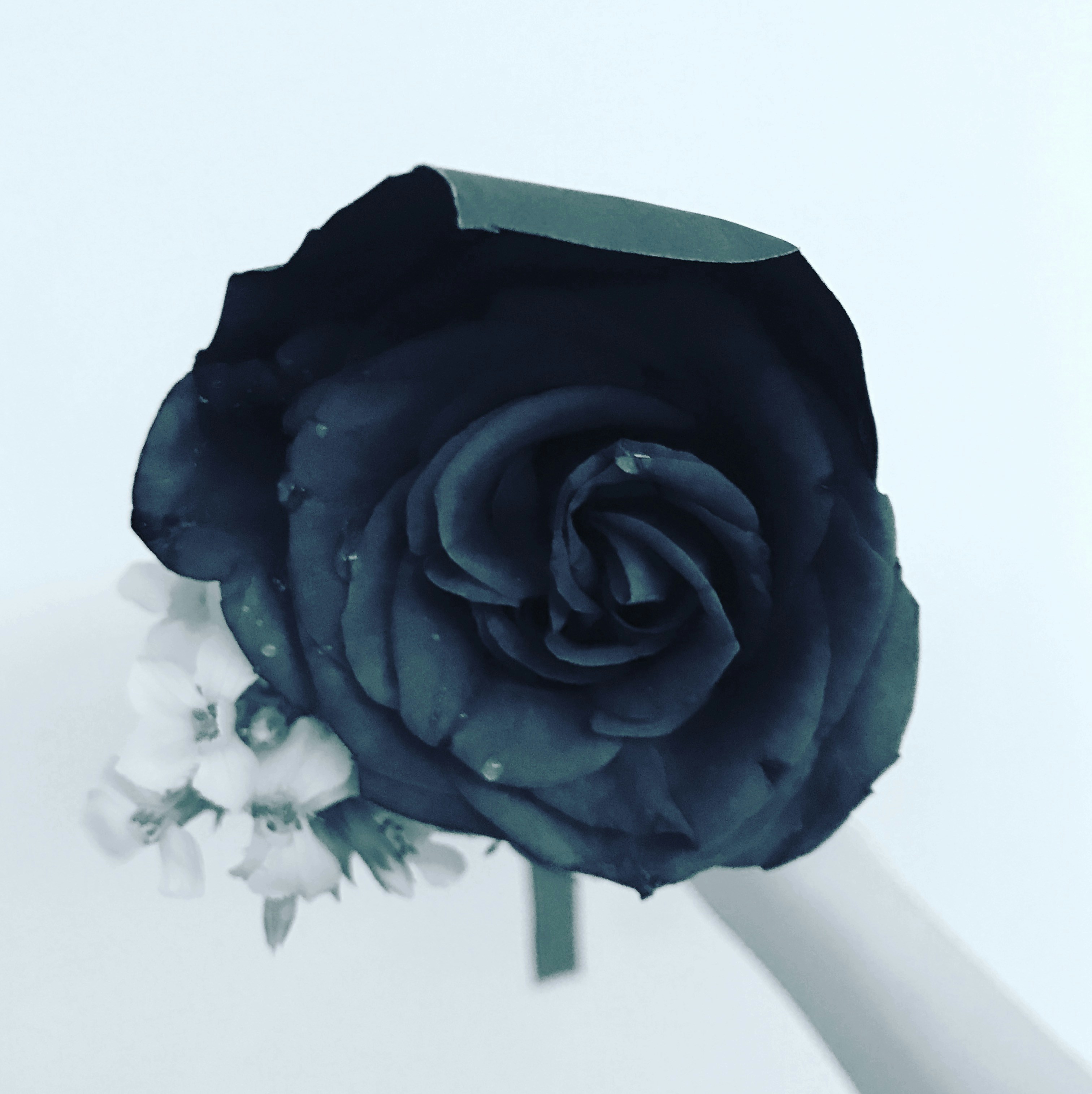 Free Unsplash photo from ka suet chan