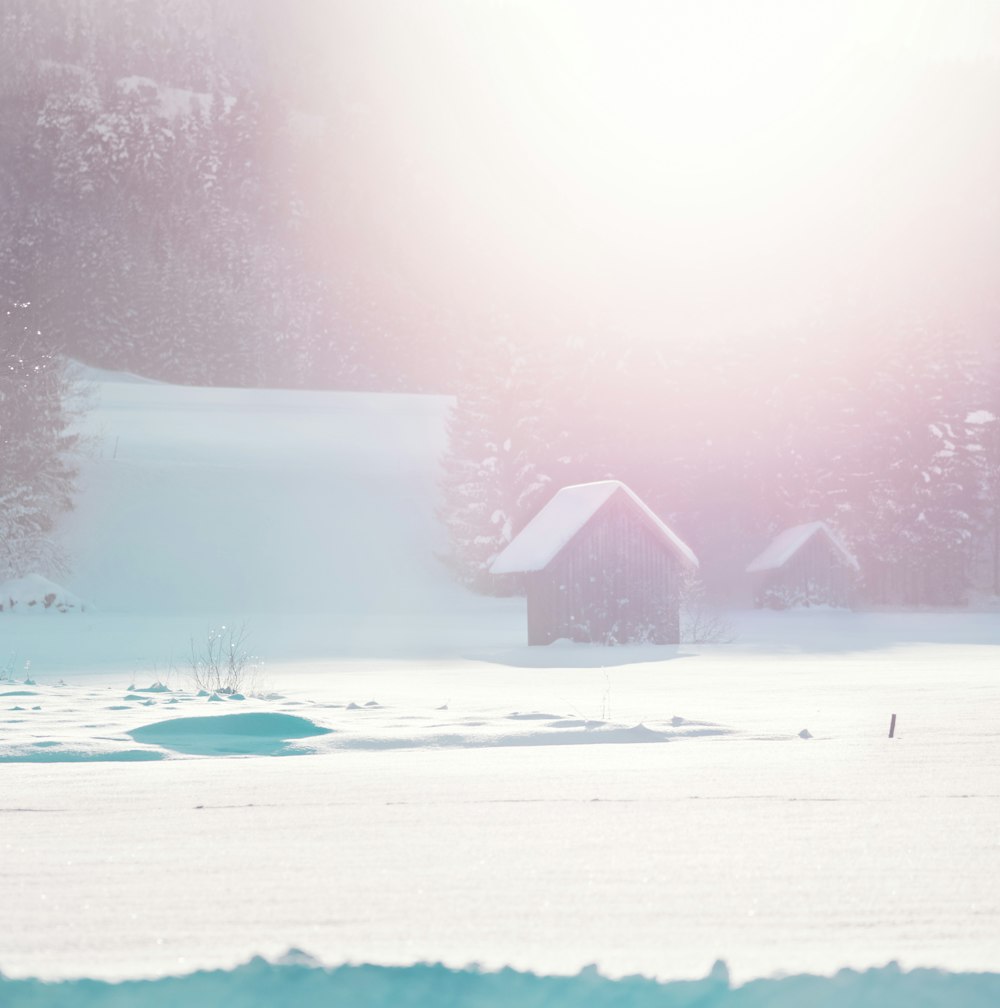 casa nera sul campo di neve durante il giorno