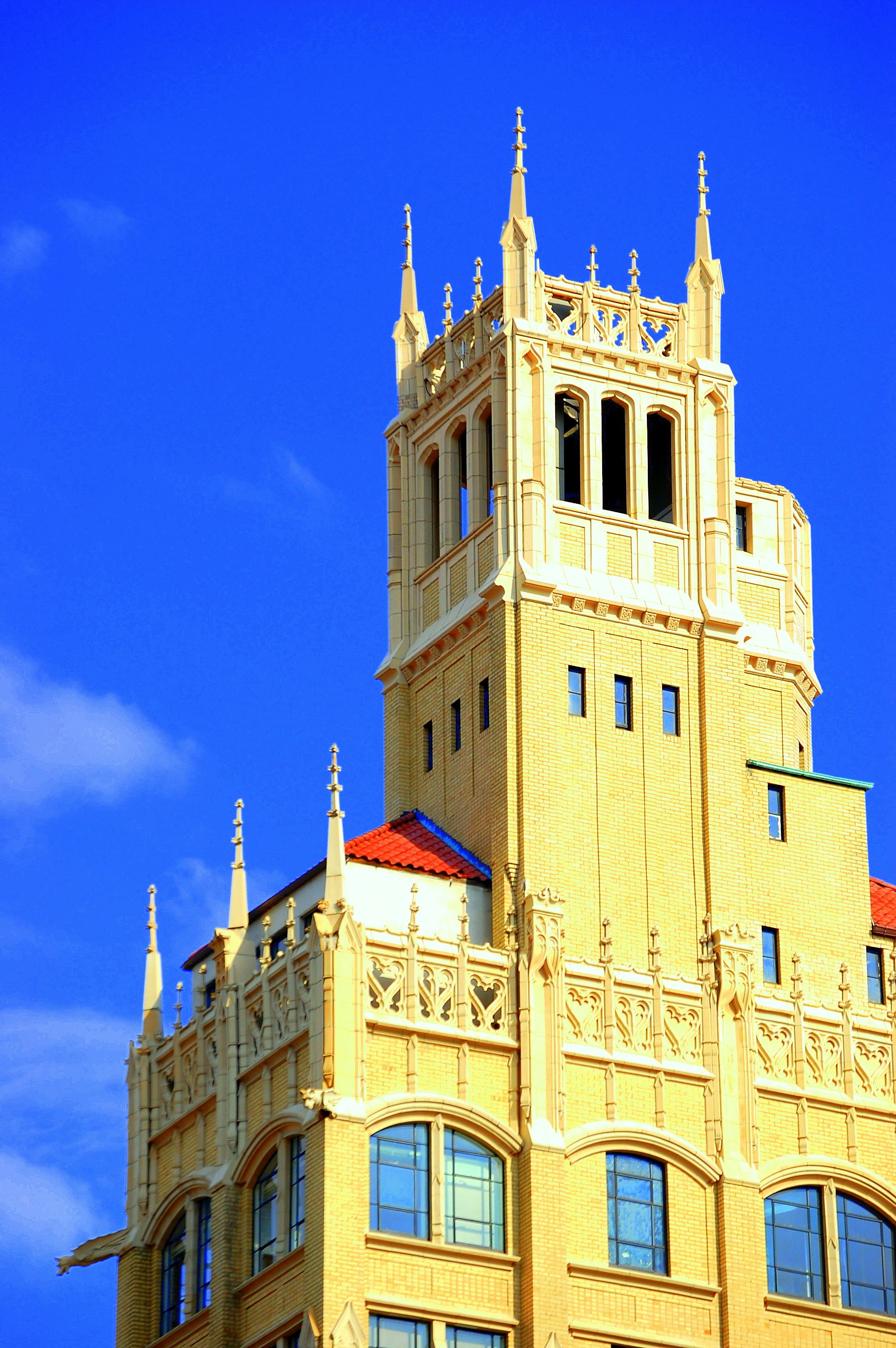 Free Unsplash photo from Kalynn Dresser