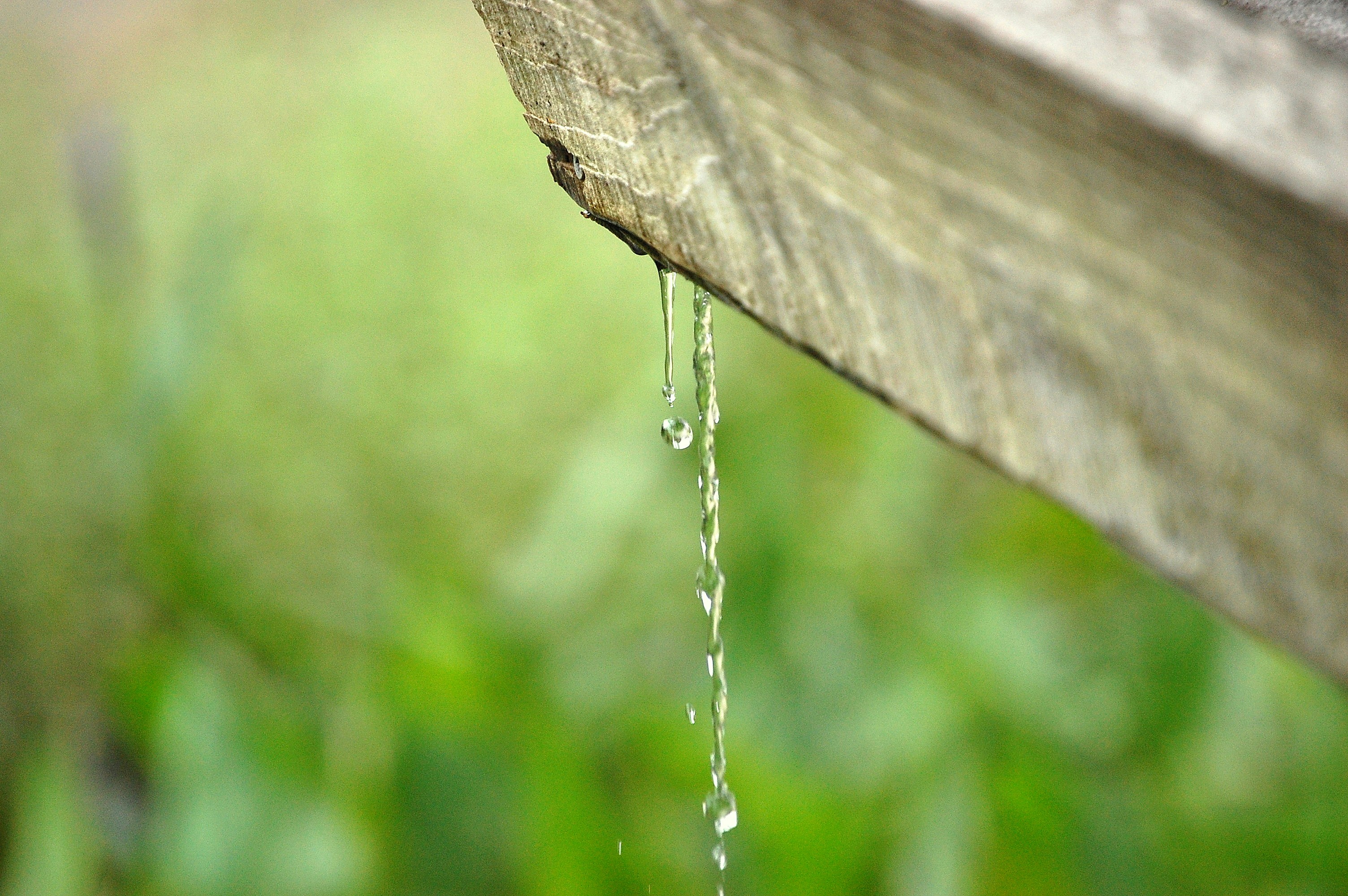 Free Unsplash photo from Kalynn Dresser