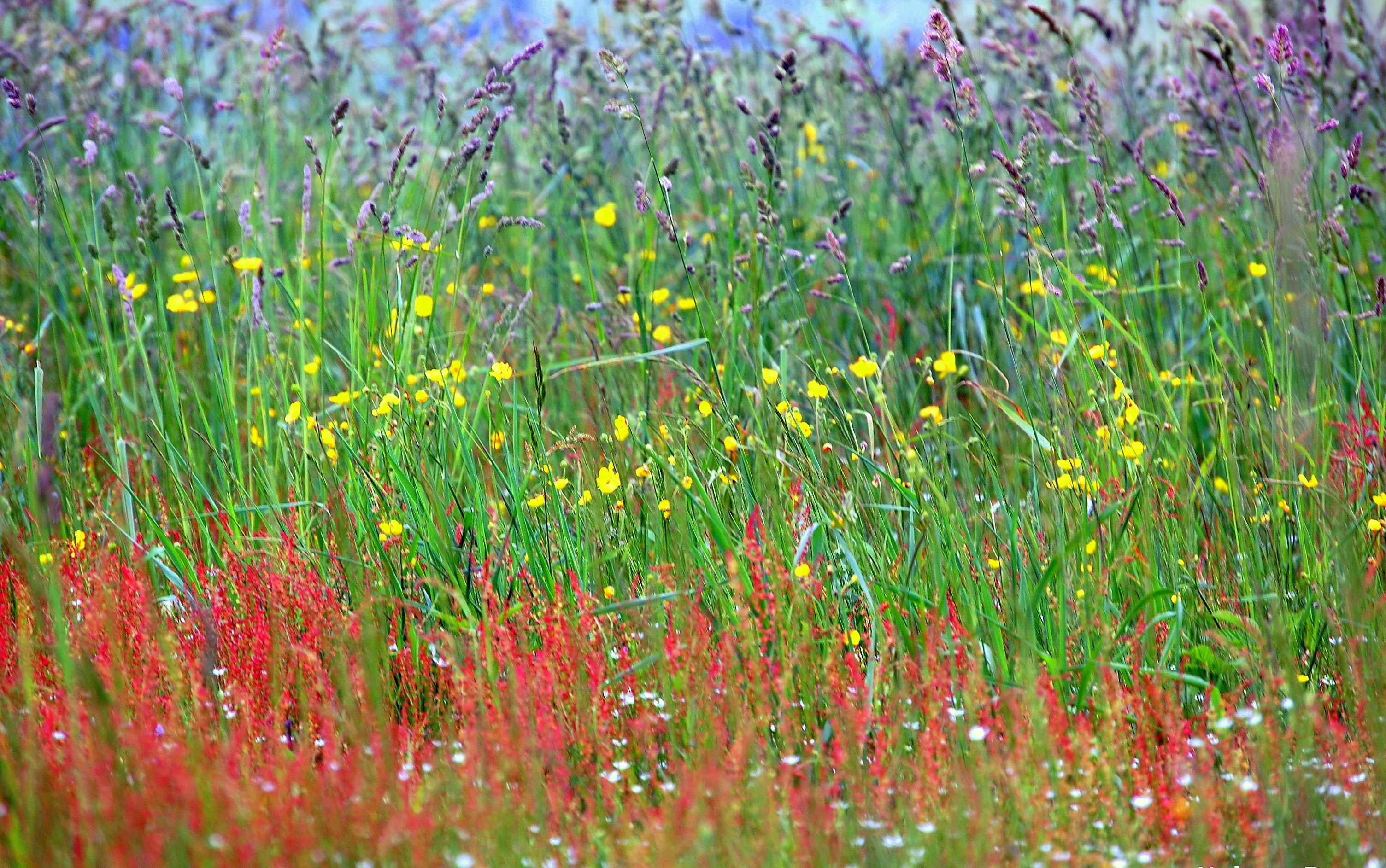 Free Unsplash photo from Kalynn Dresser