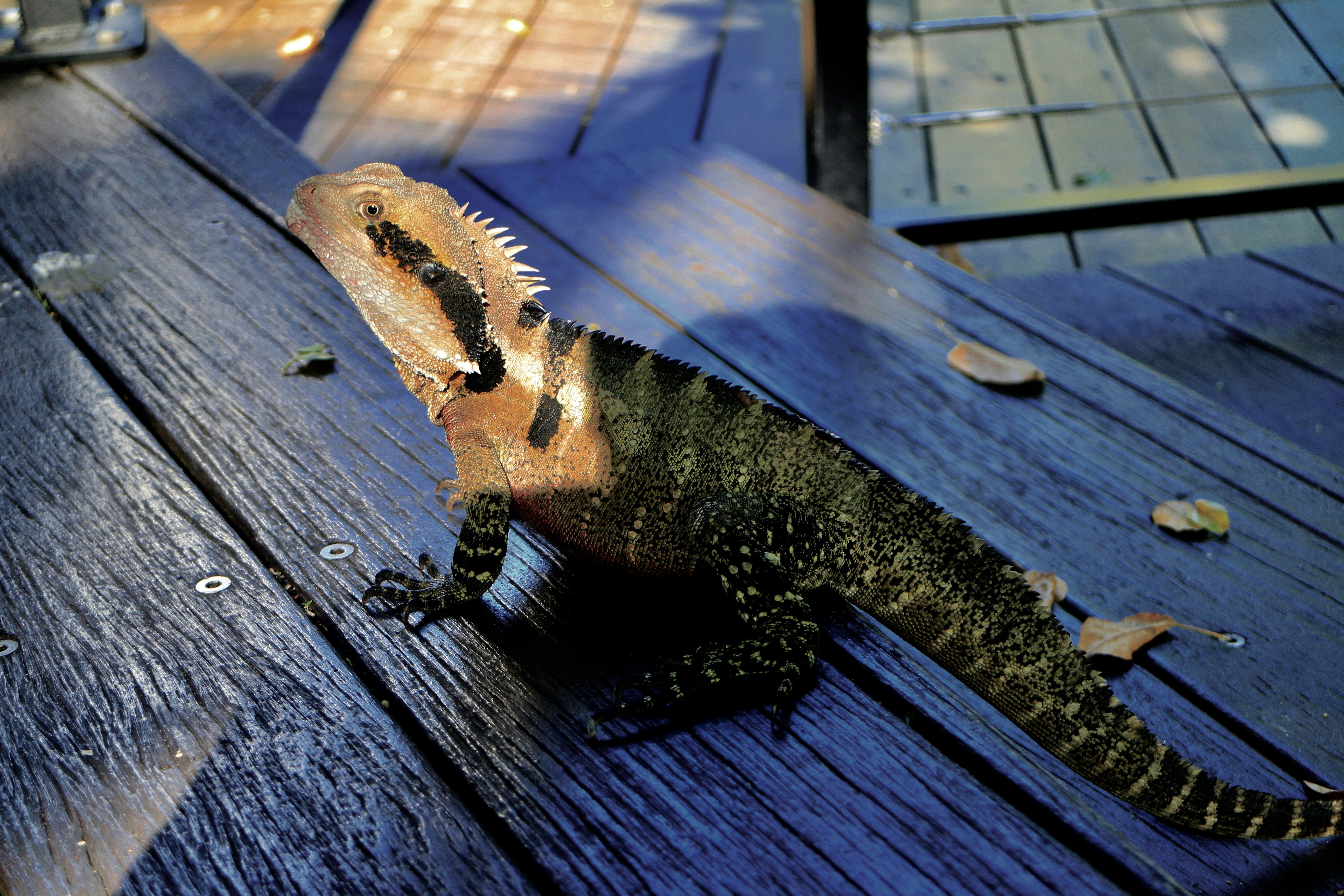 Free Unsplash photo from ruan rong