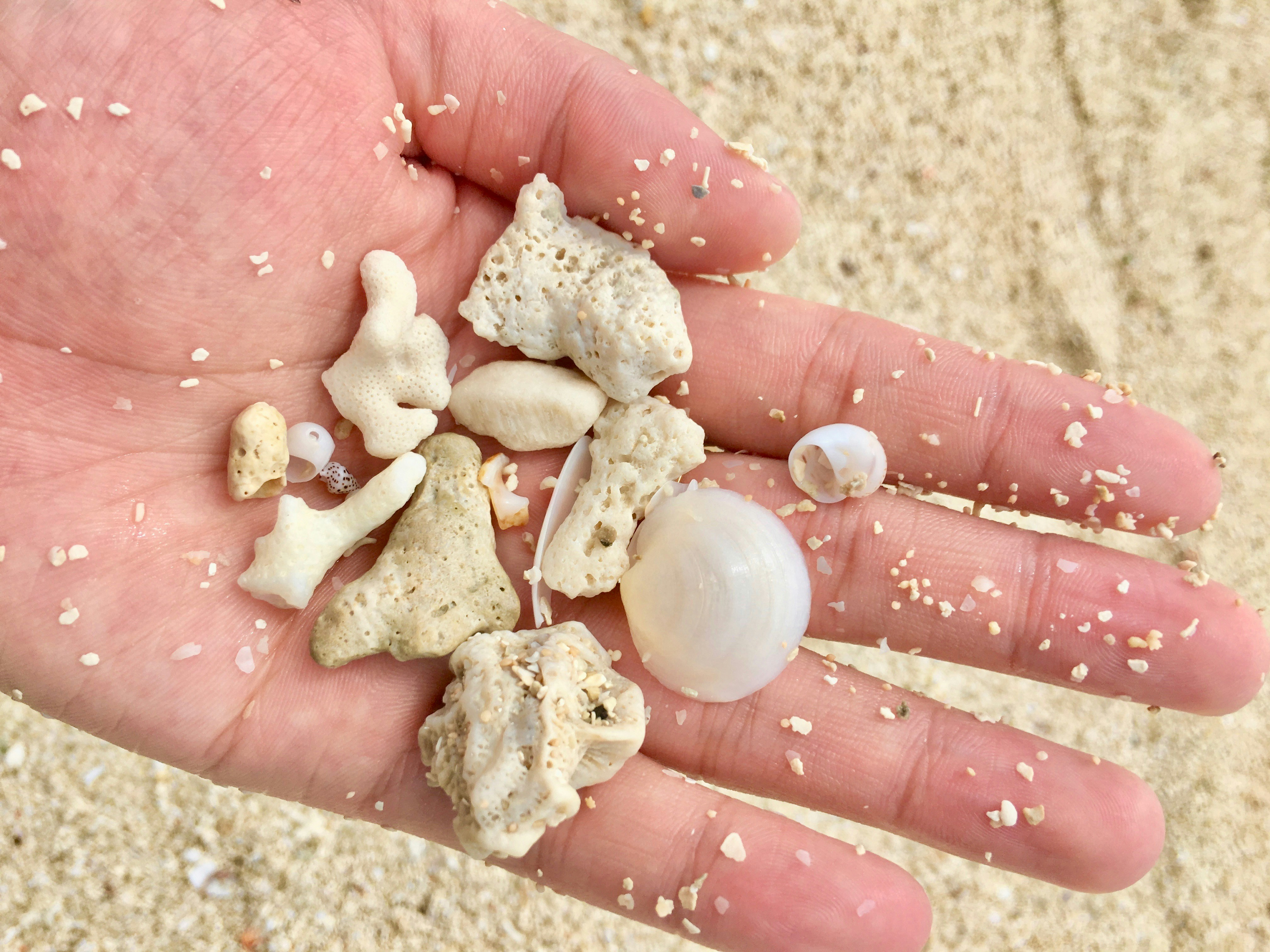 Free Unsplash photo from ruan rong