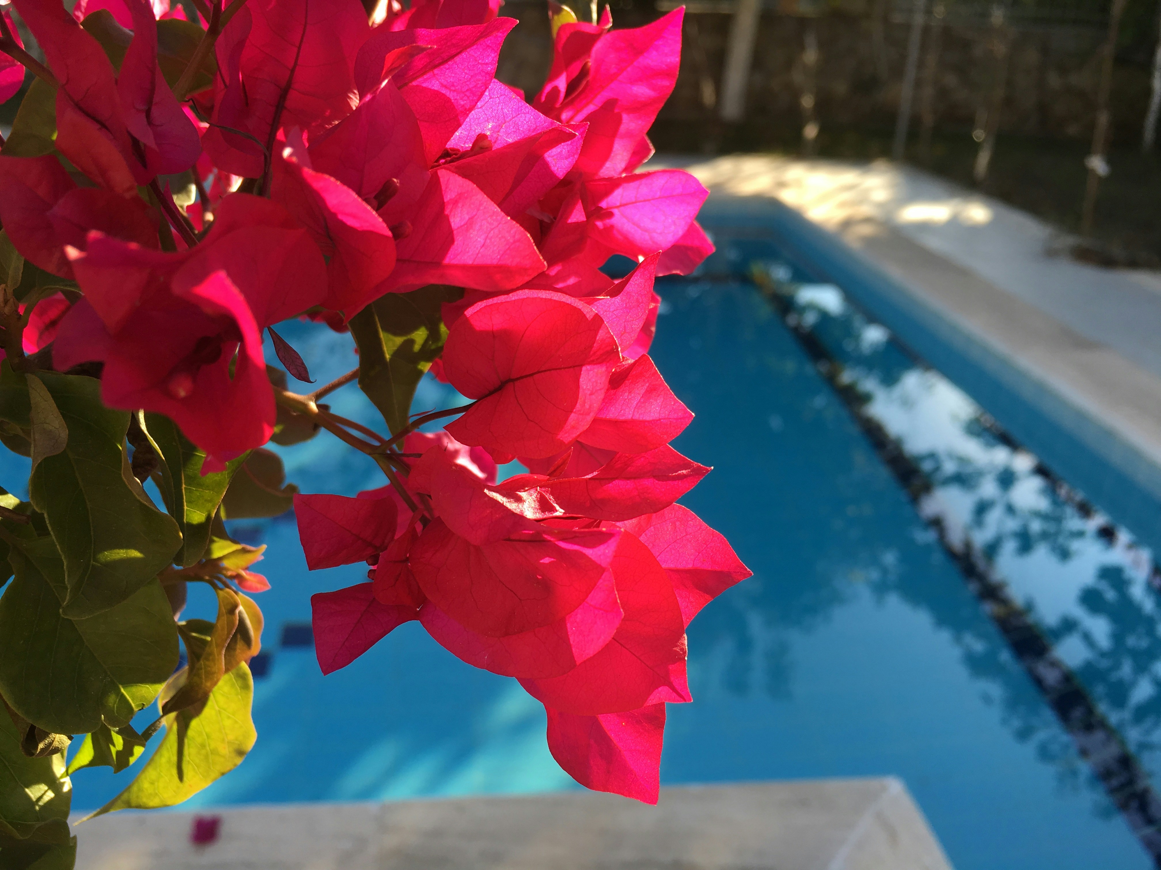 Free Unsplash photo from Melih Gönenli