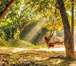 Children playing in a sunlit garden, candid and full of life.