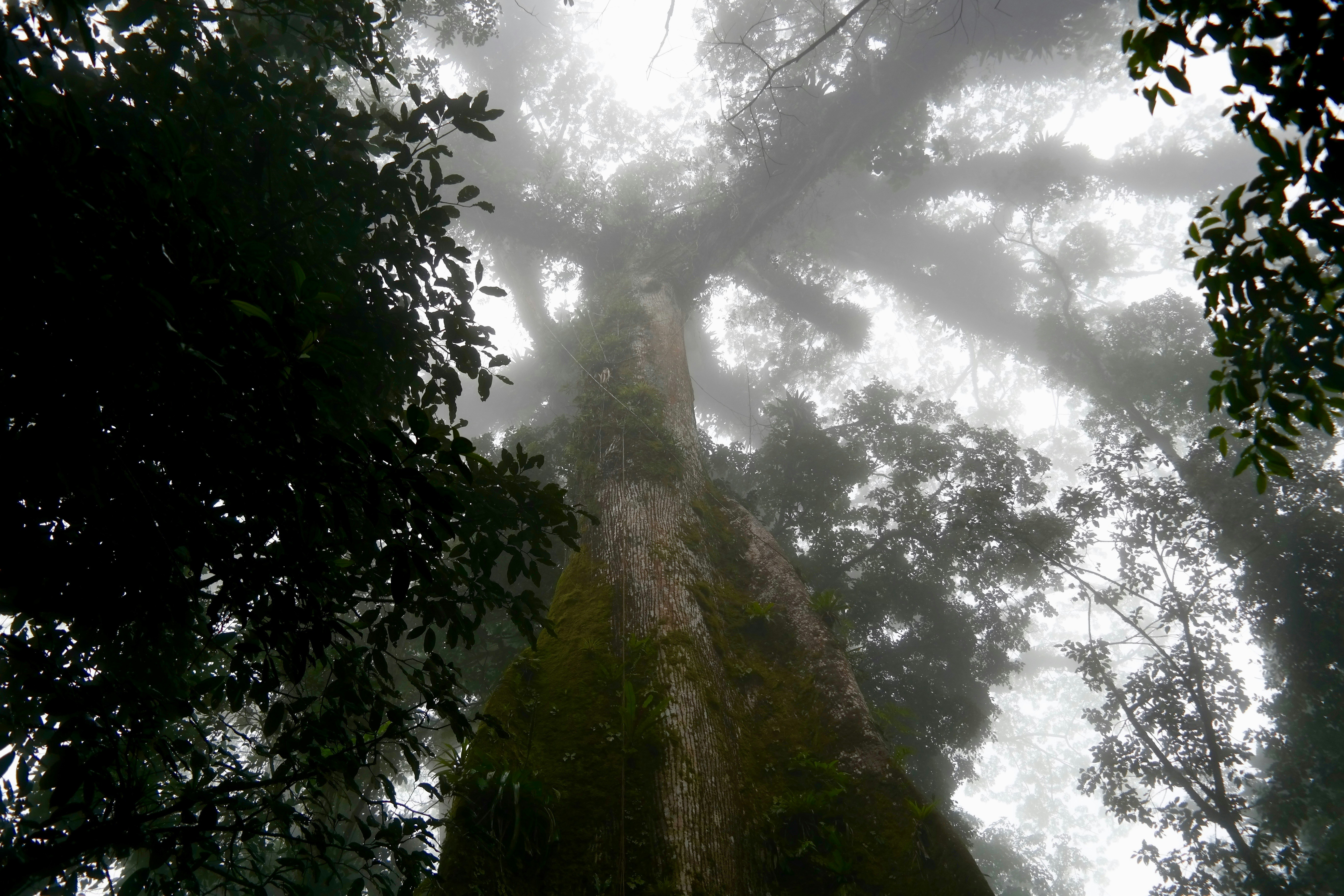 Free Unsplash photo from Martine Reijm