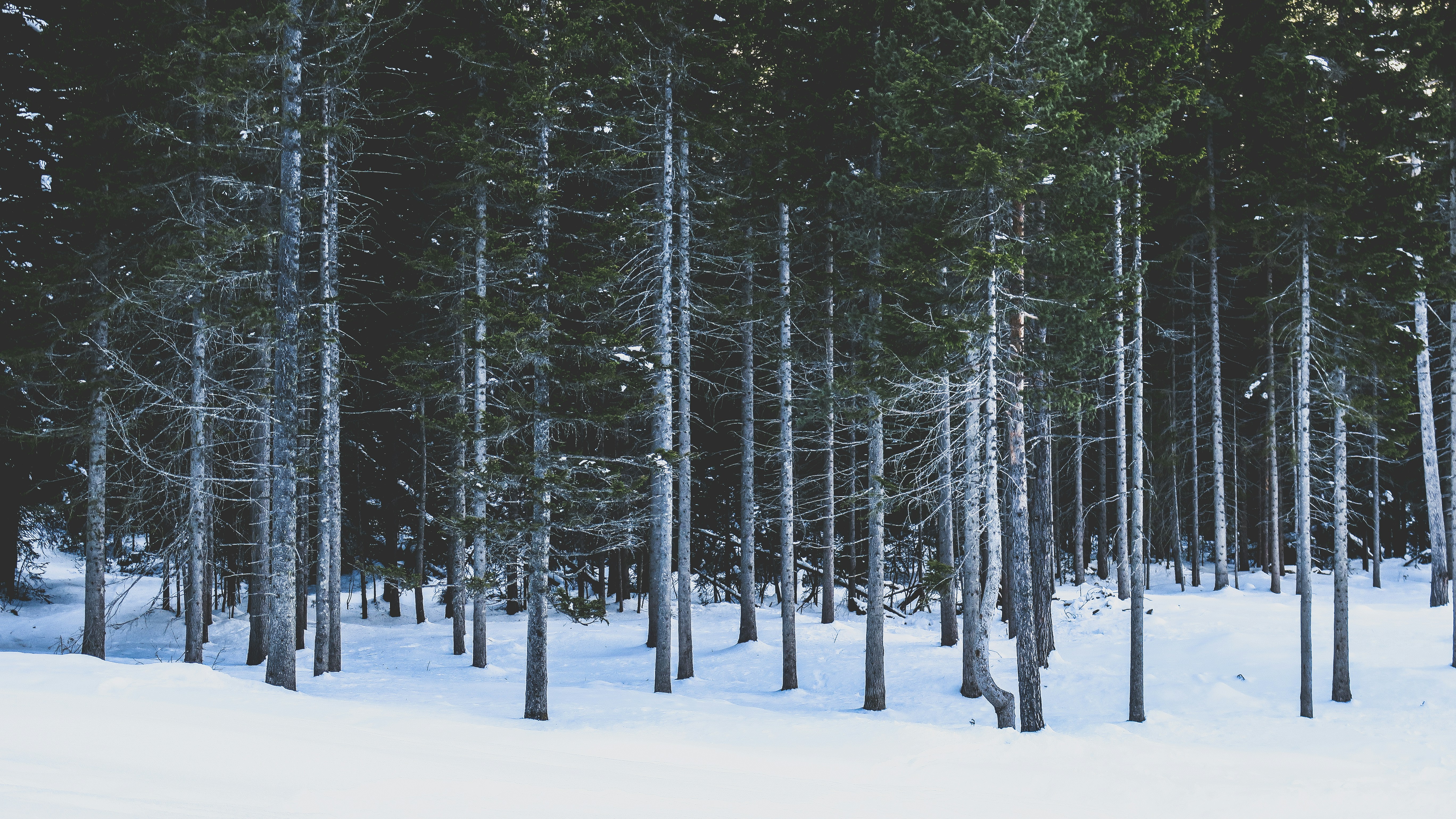 Photo by paulpastourmatzis