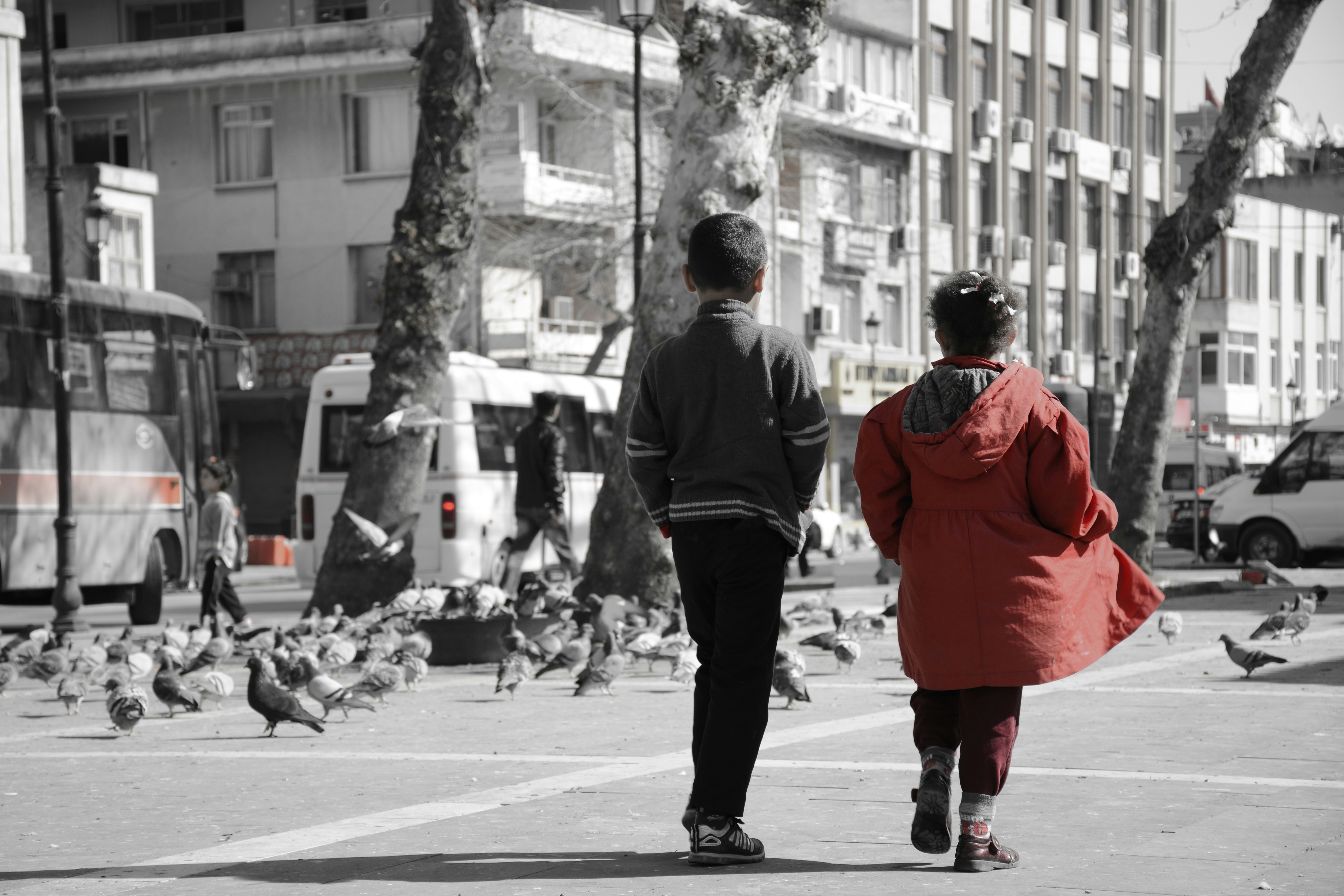 Free Unsplash photo from Asena Hatice Yıldırım