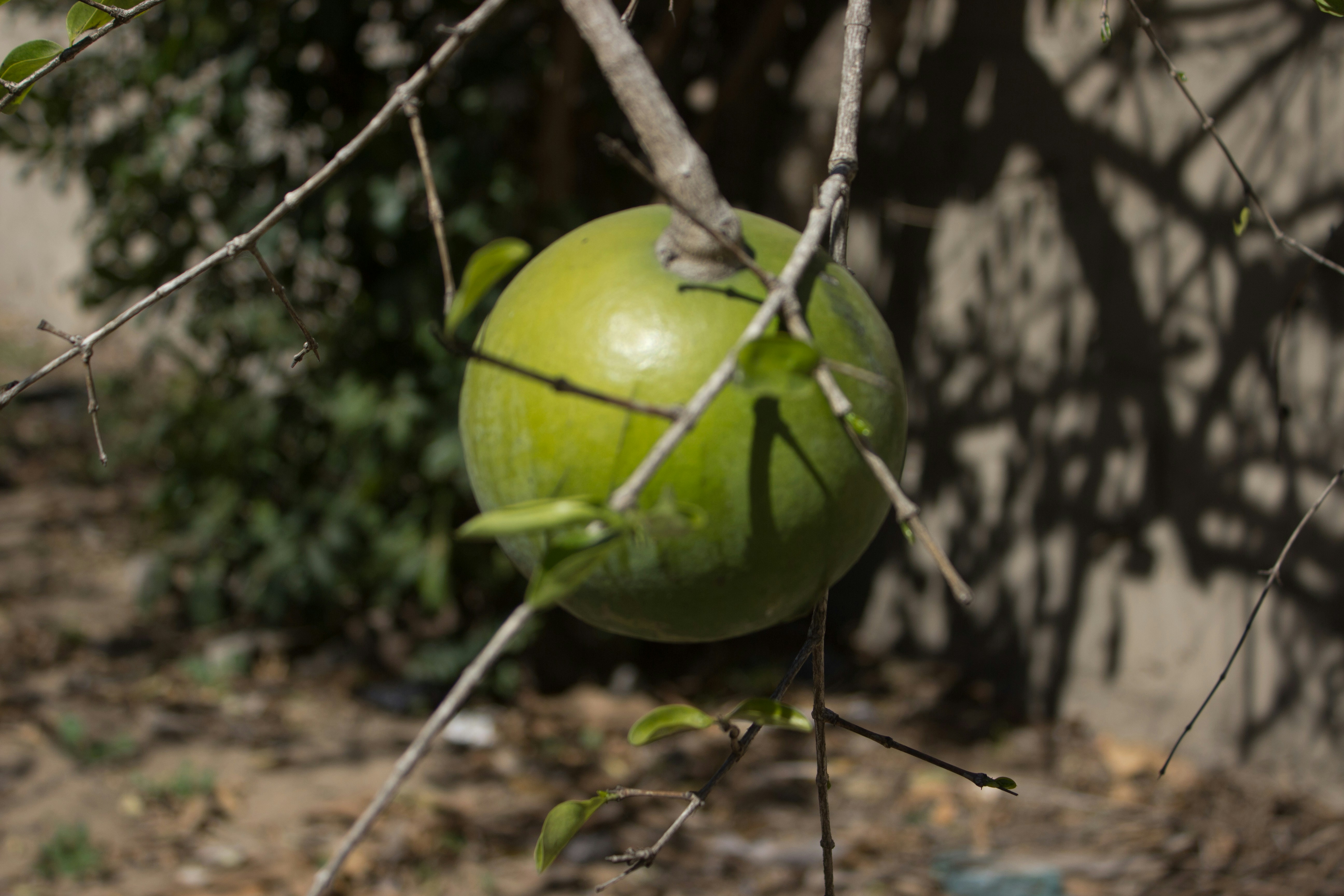 Free Unsplash photo from Guide Guia Inhaca Maputo