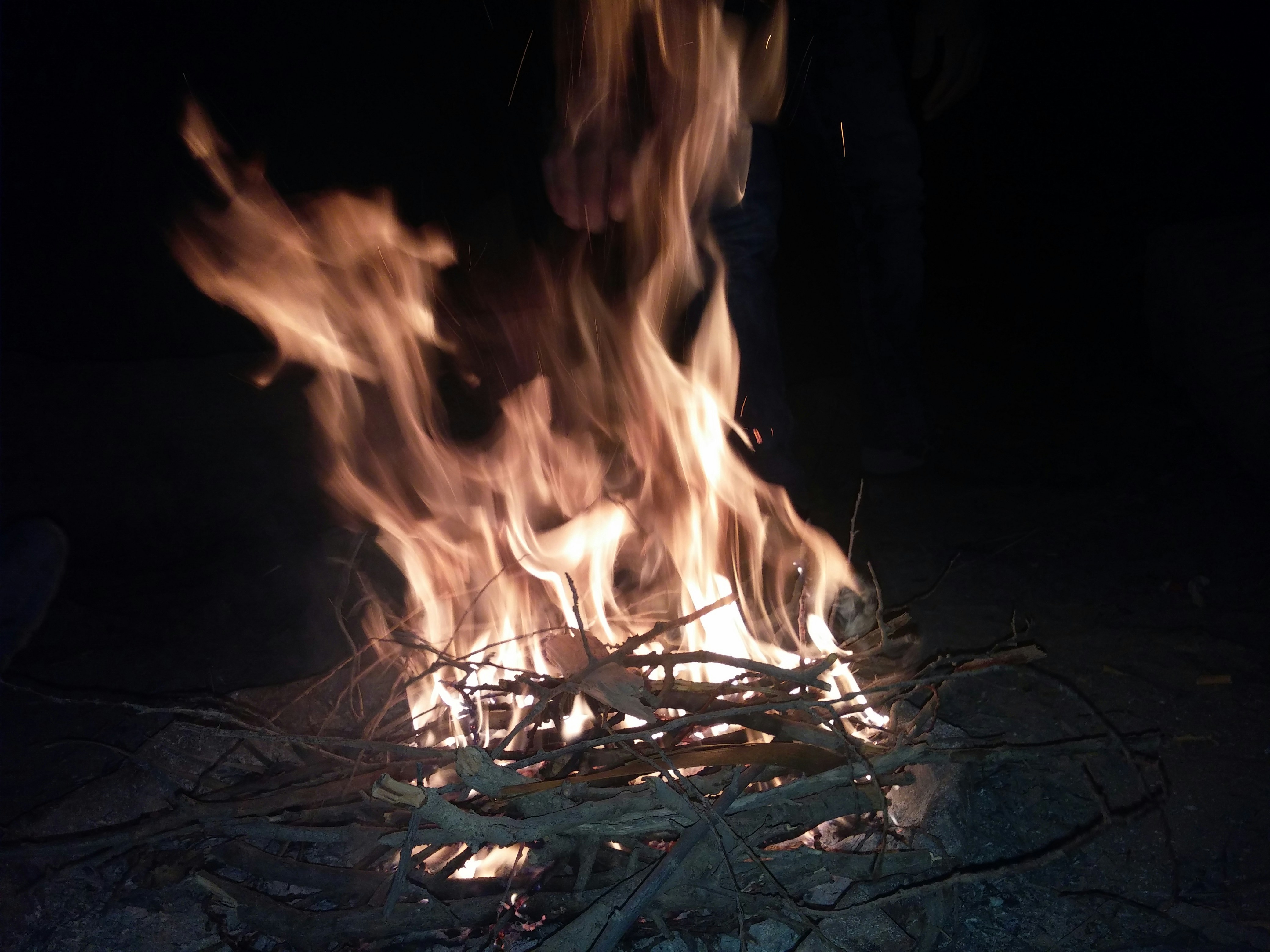 Free Unsplash photo from Weedd Good