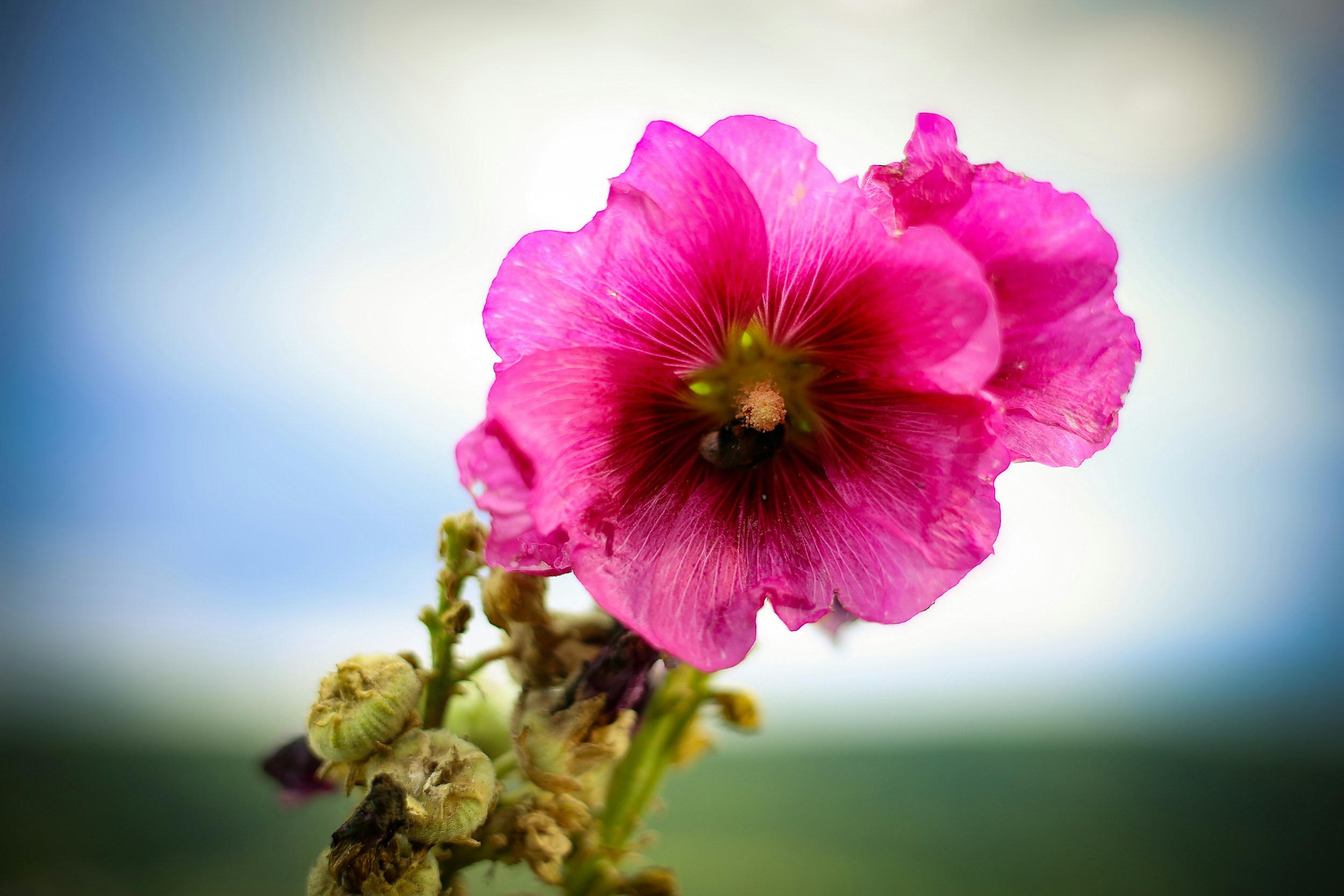 Free Unsplash photo from Uwe Hensel