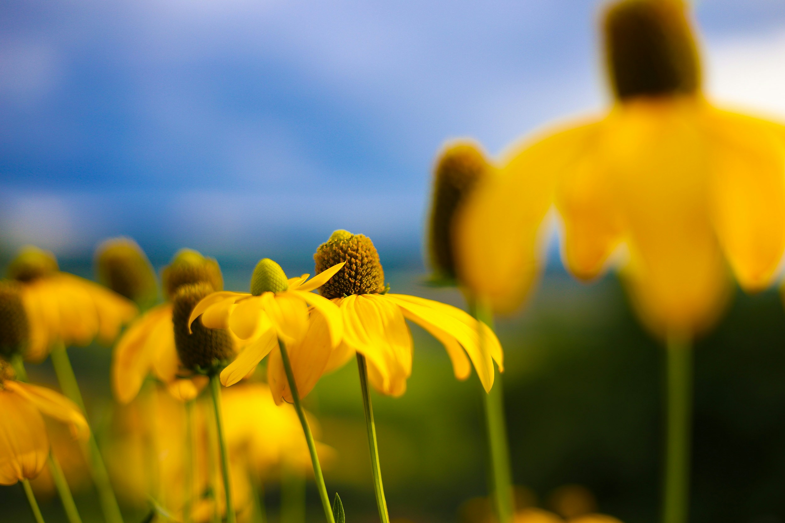 Free Unsplash photo from Uwe Hensel