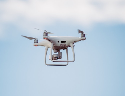 วัวชาร์โลเลส์ขาวเนื้อดี ชื่อSnow