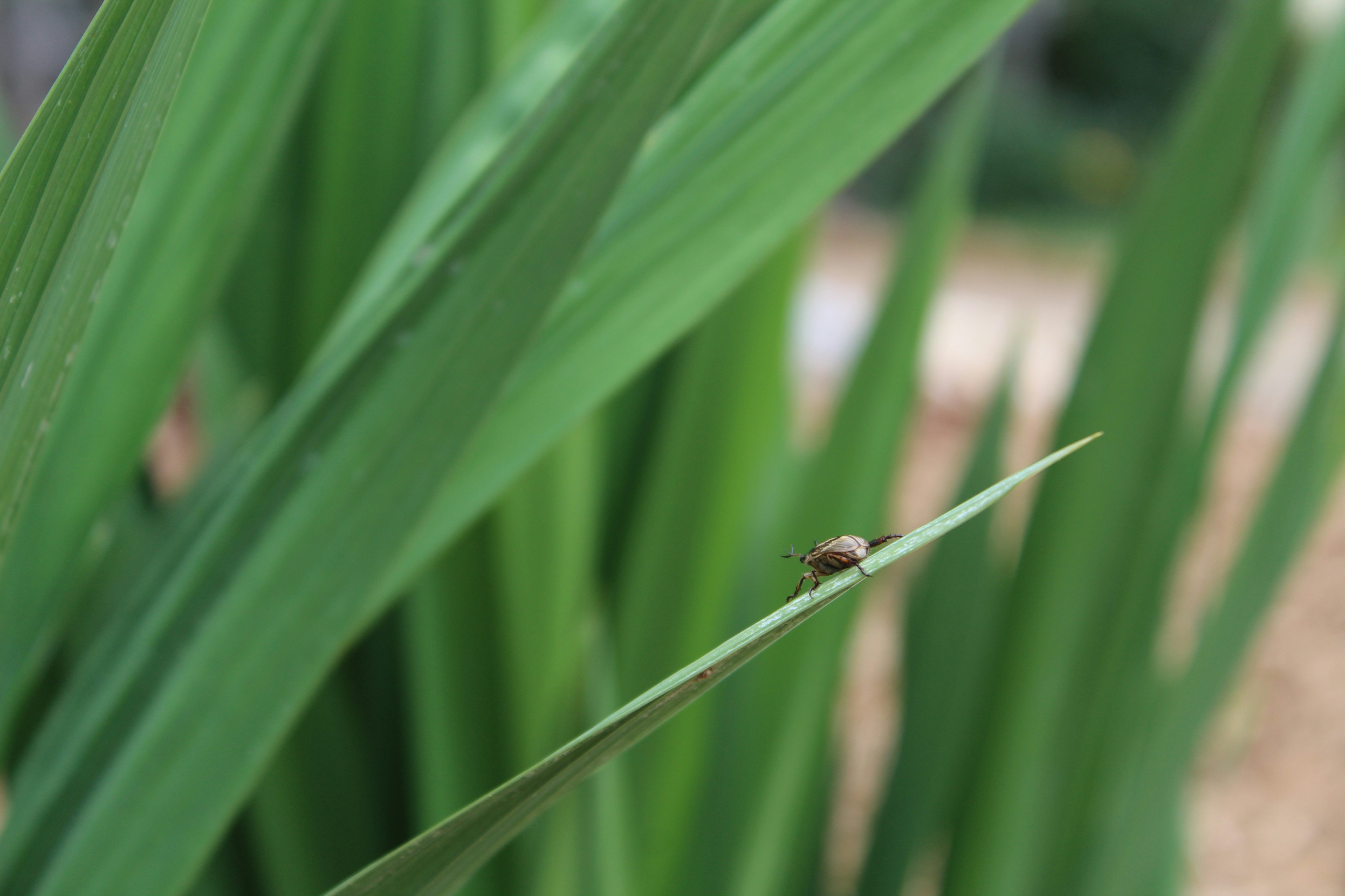 Free Unsplash photo from Gretchen