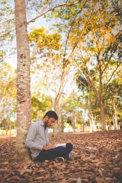 An outdoor scene with a writer sitting under a tree.
