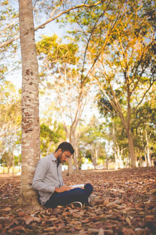 A peaceful scene of a person journaling outdoors under a large tree, sunlight filtering through leaves.