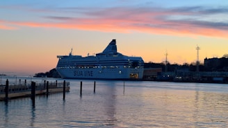 A vibrant cruise ship docked at Miami port under a warm sunset sky
