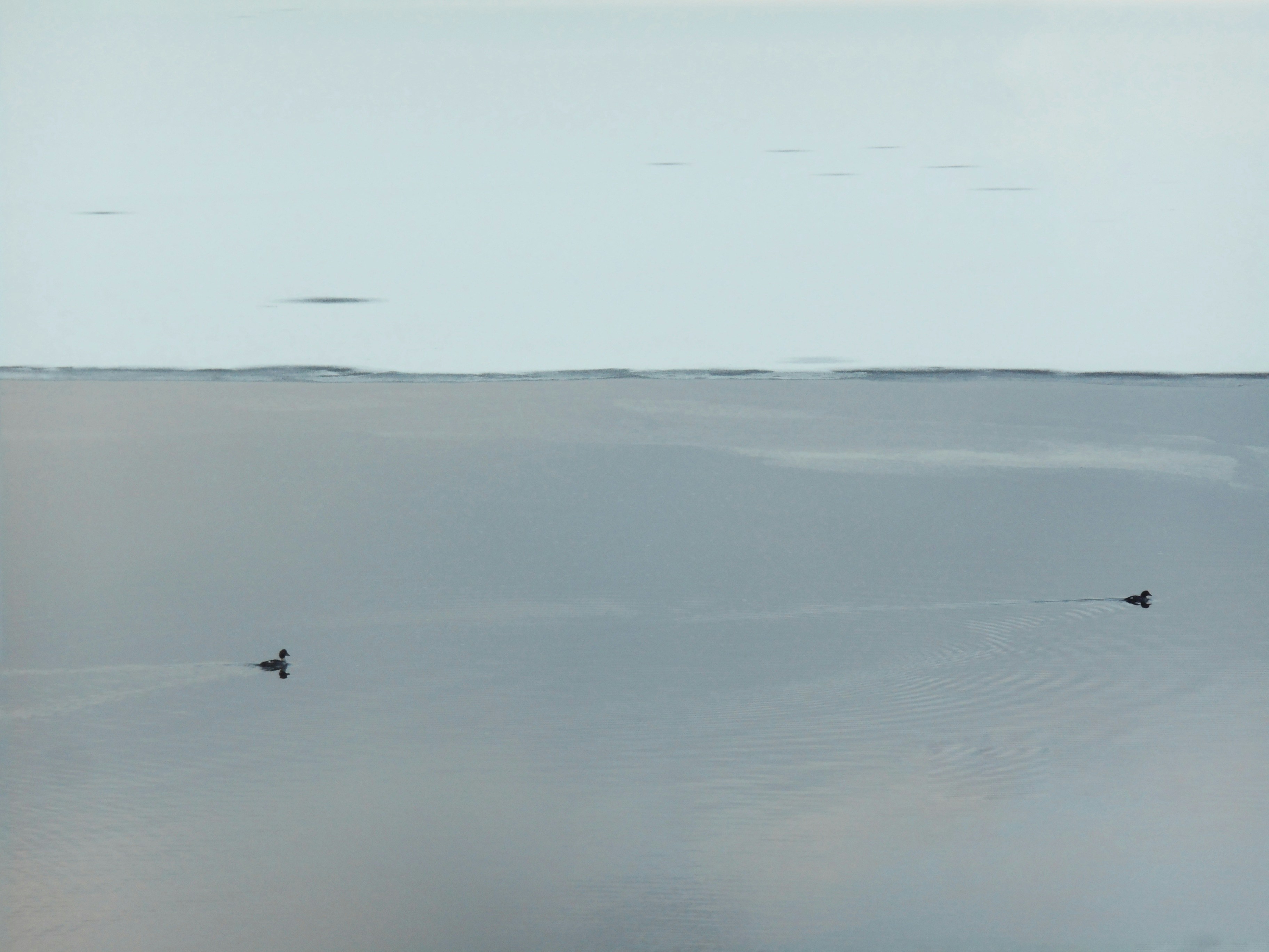 Free Unsplash photo from Artem Kulikov