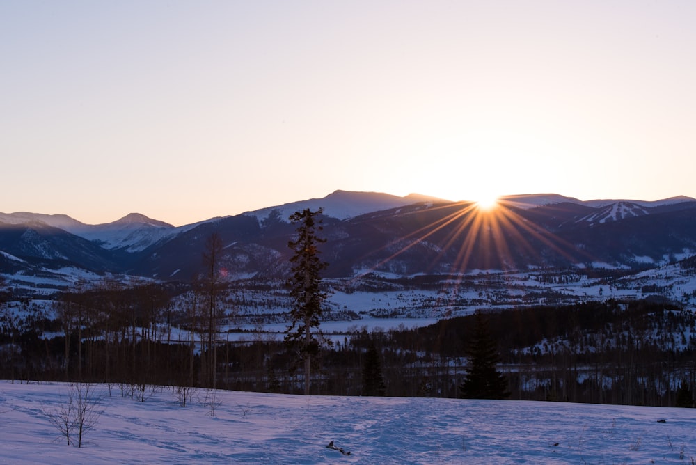 夕暮れ時の平野部付近の雪に覆われた山々