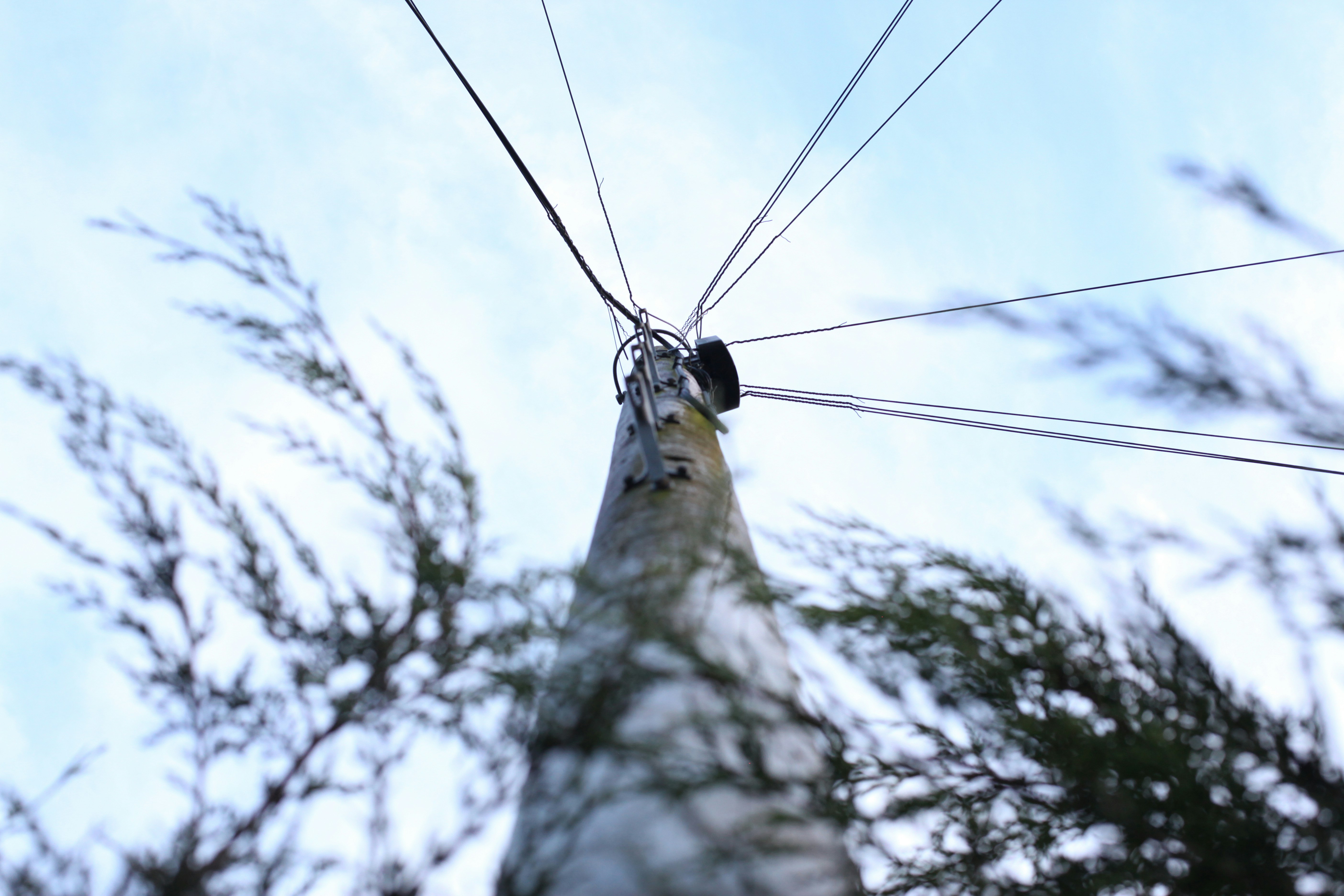 Free Unsplash photo from John Saborido