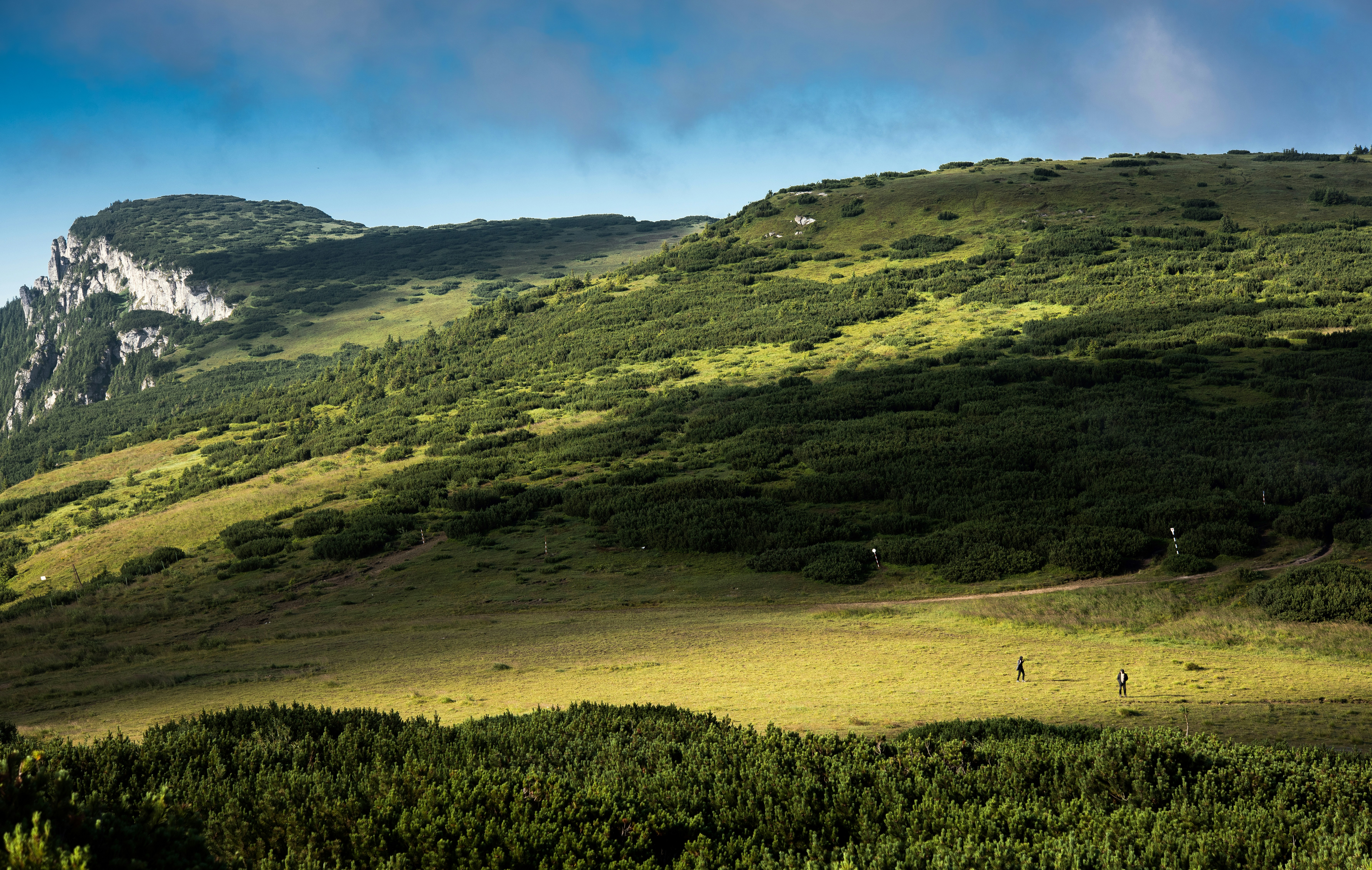 Free Unsplash photo from PICSELI