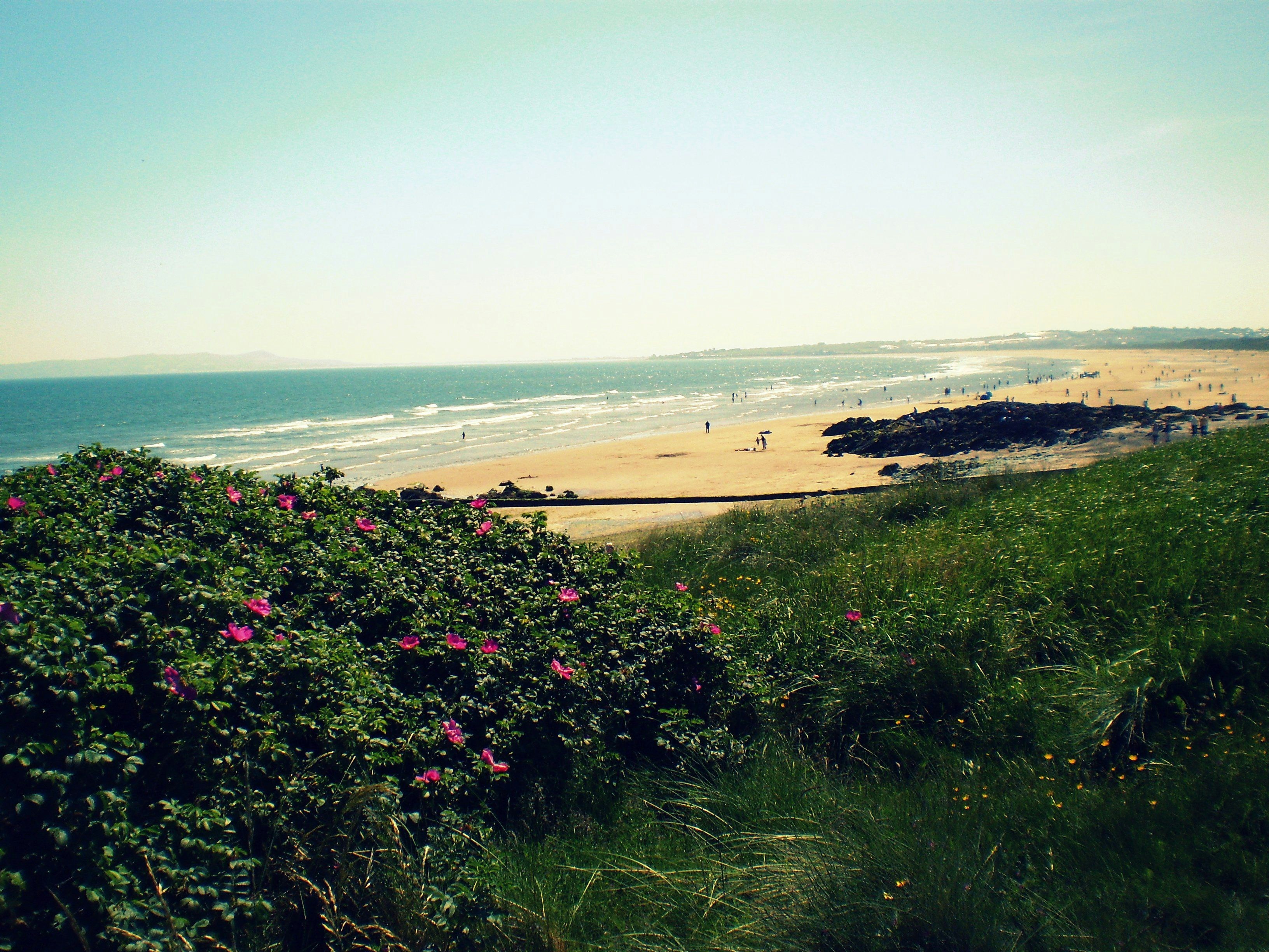 Free Unsplash photo from Alicia Houston