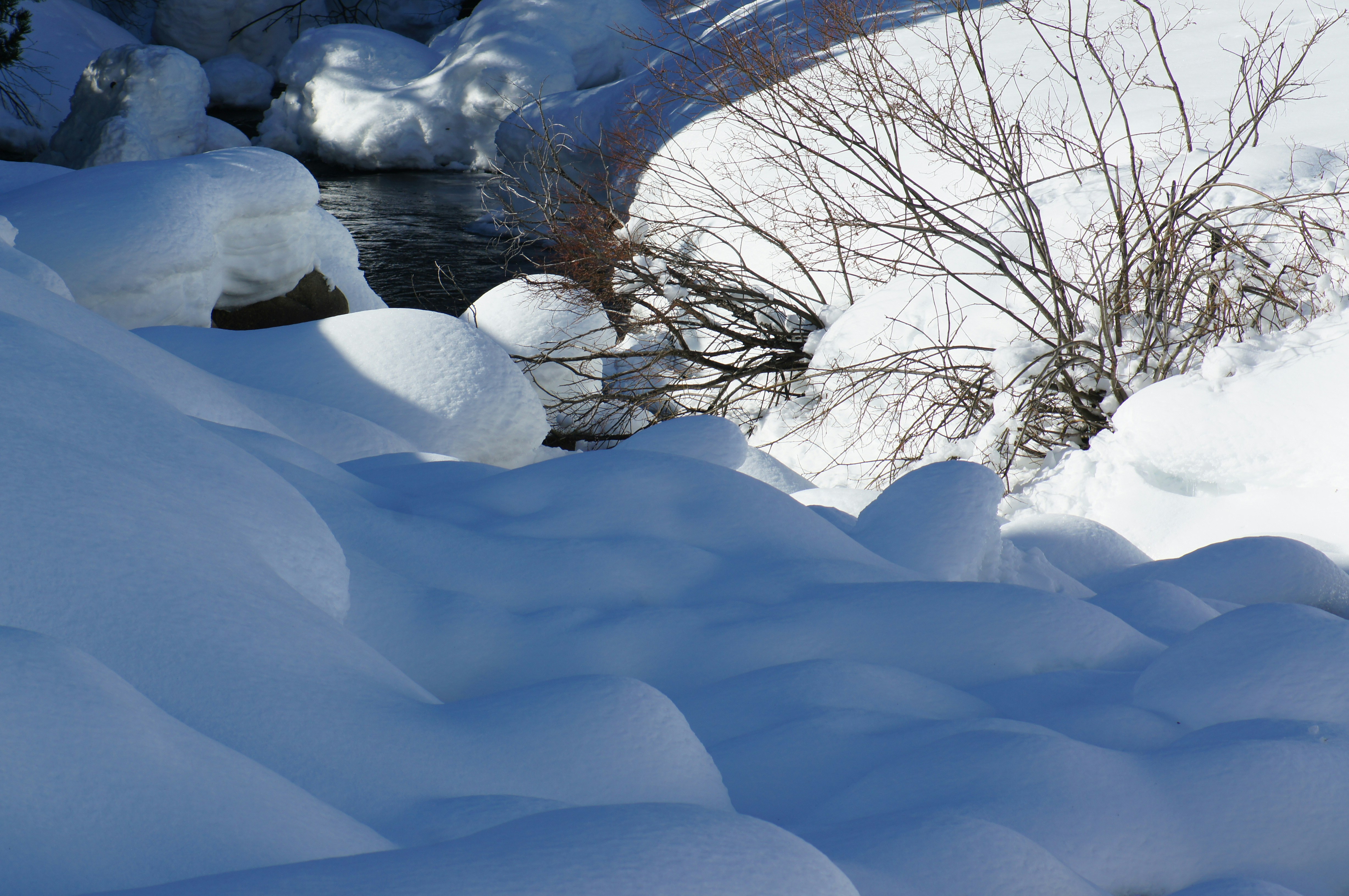 Free Unsplash photo from Lluís Cortés