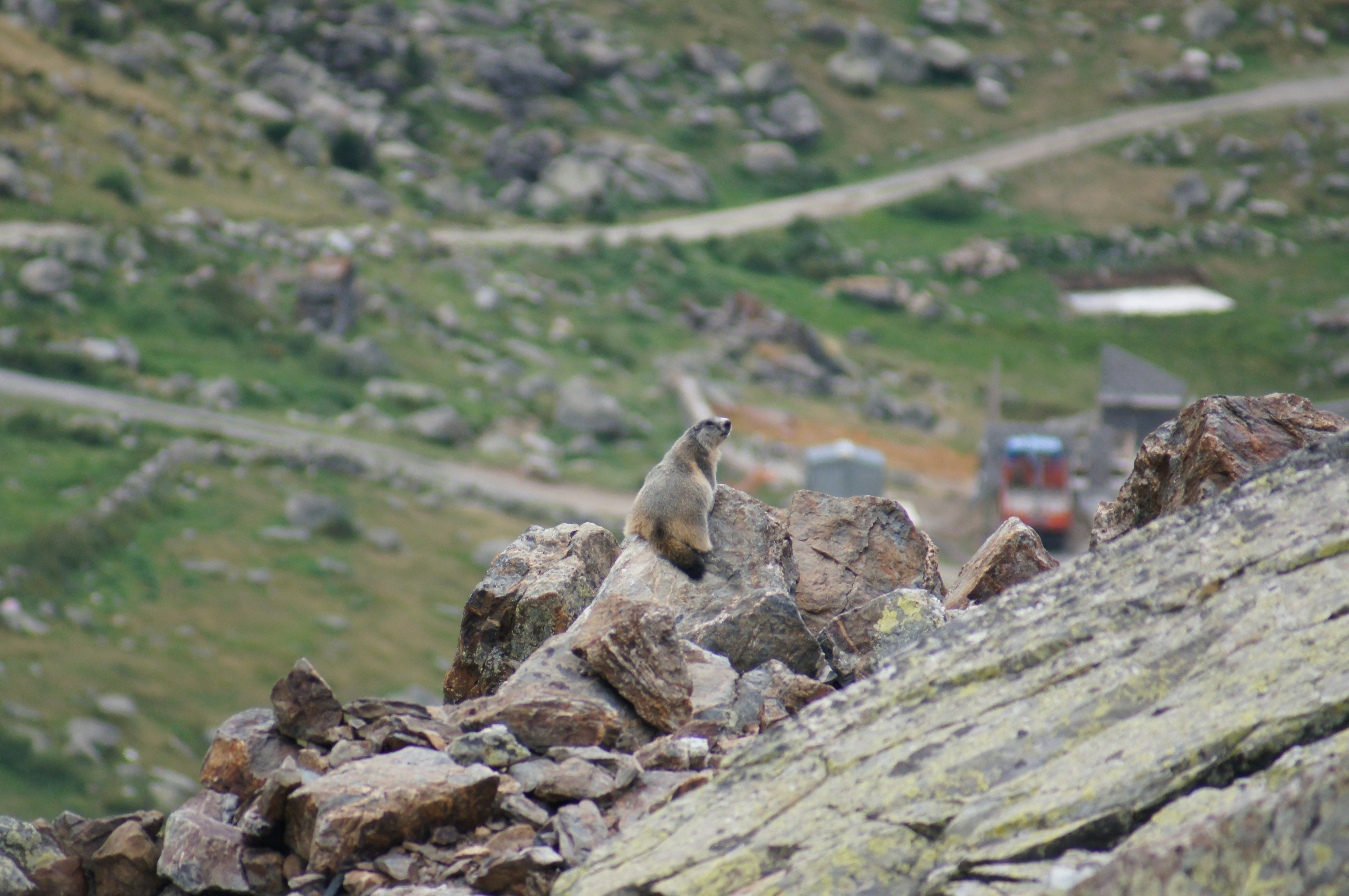 Free Unsplash photo from Lluís Cortés