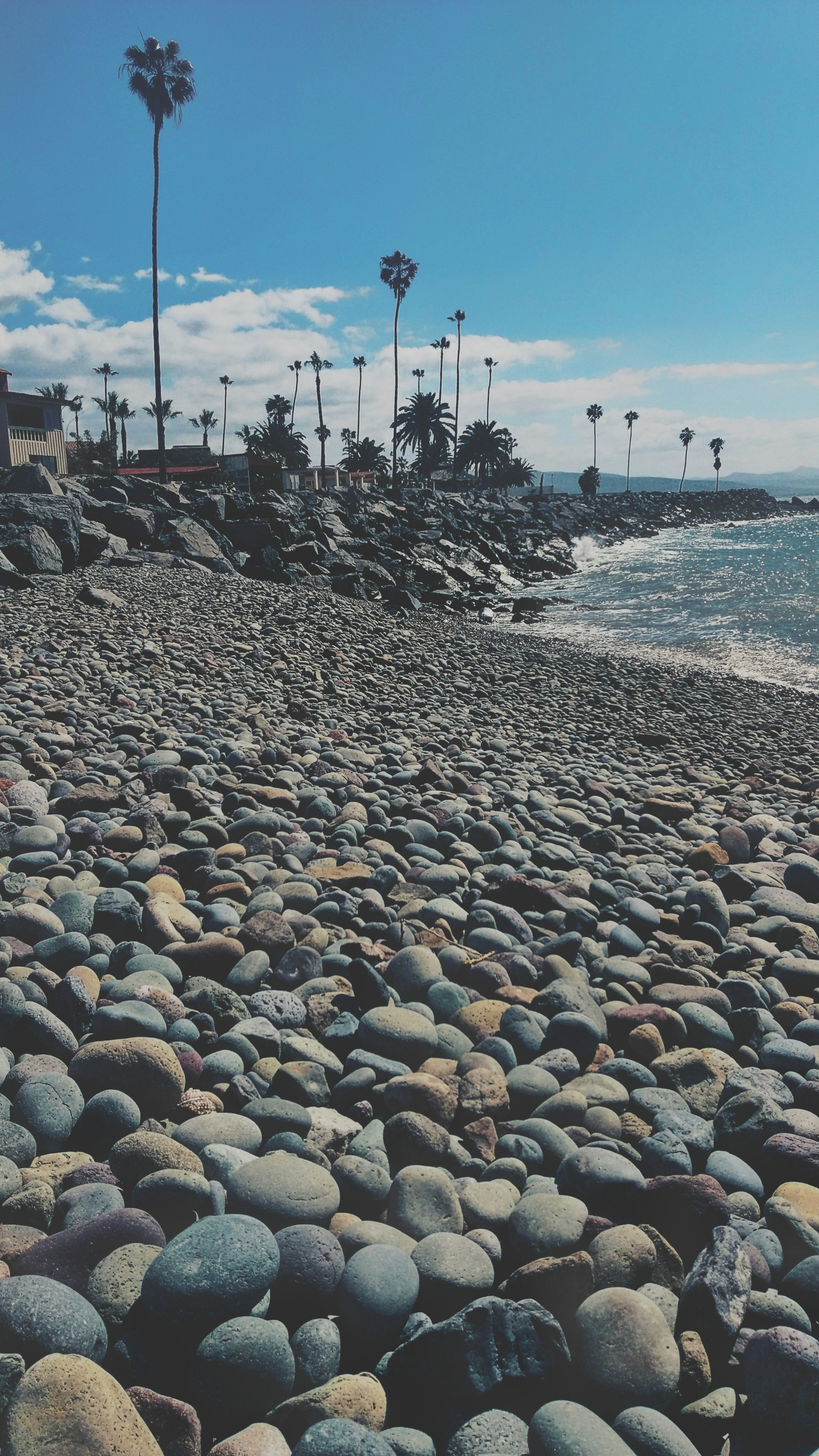 Free Unsplash photo from Alfredo Flores