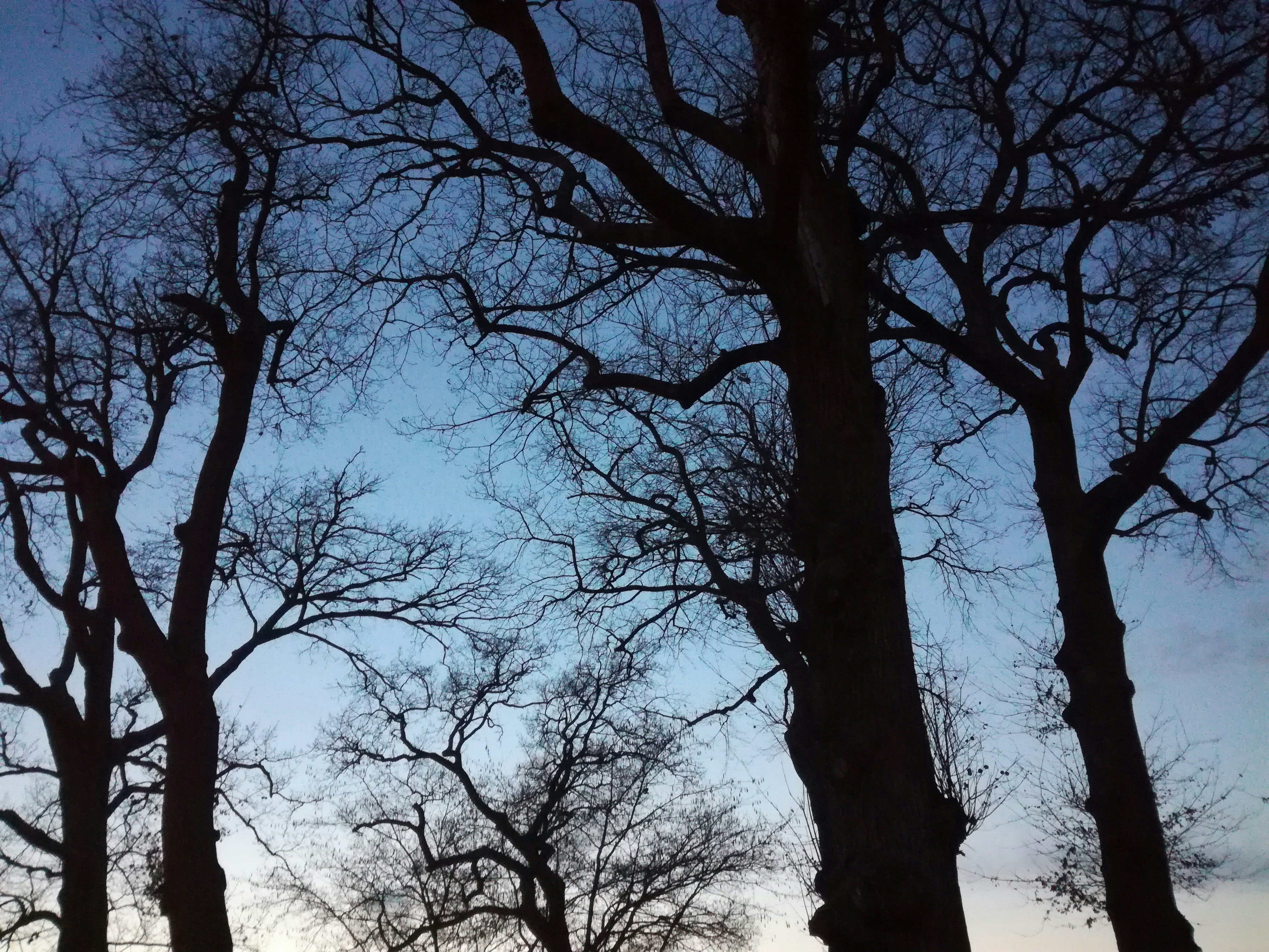 Free Unsplash photo from Lisa Dewitte