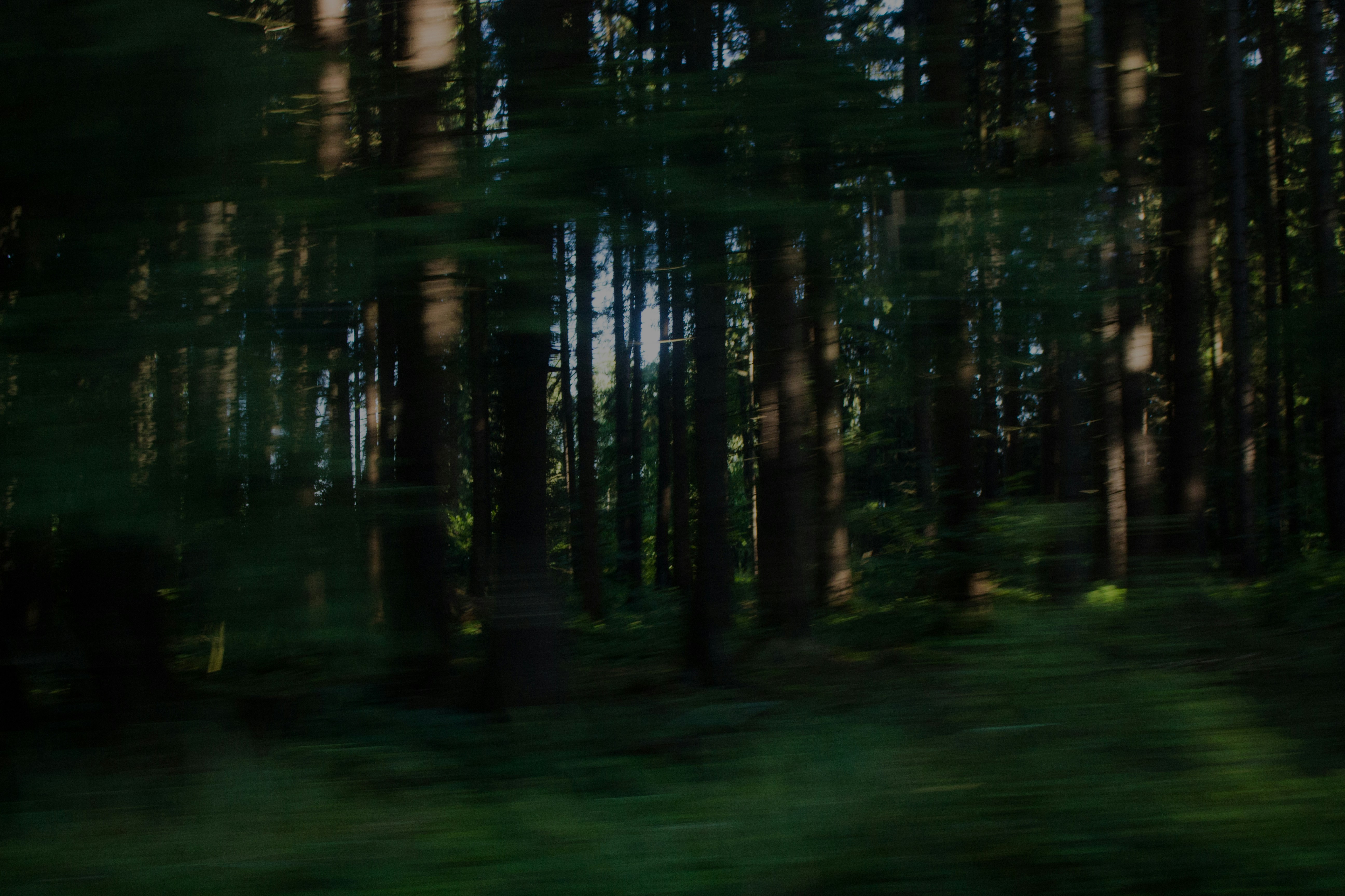 Free Unsplash photo from Peter Belák