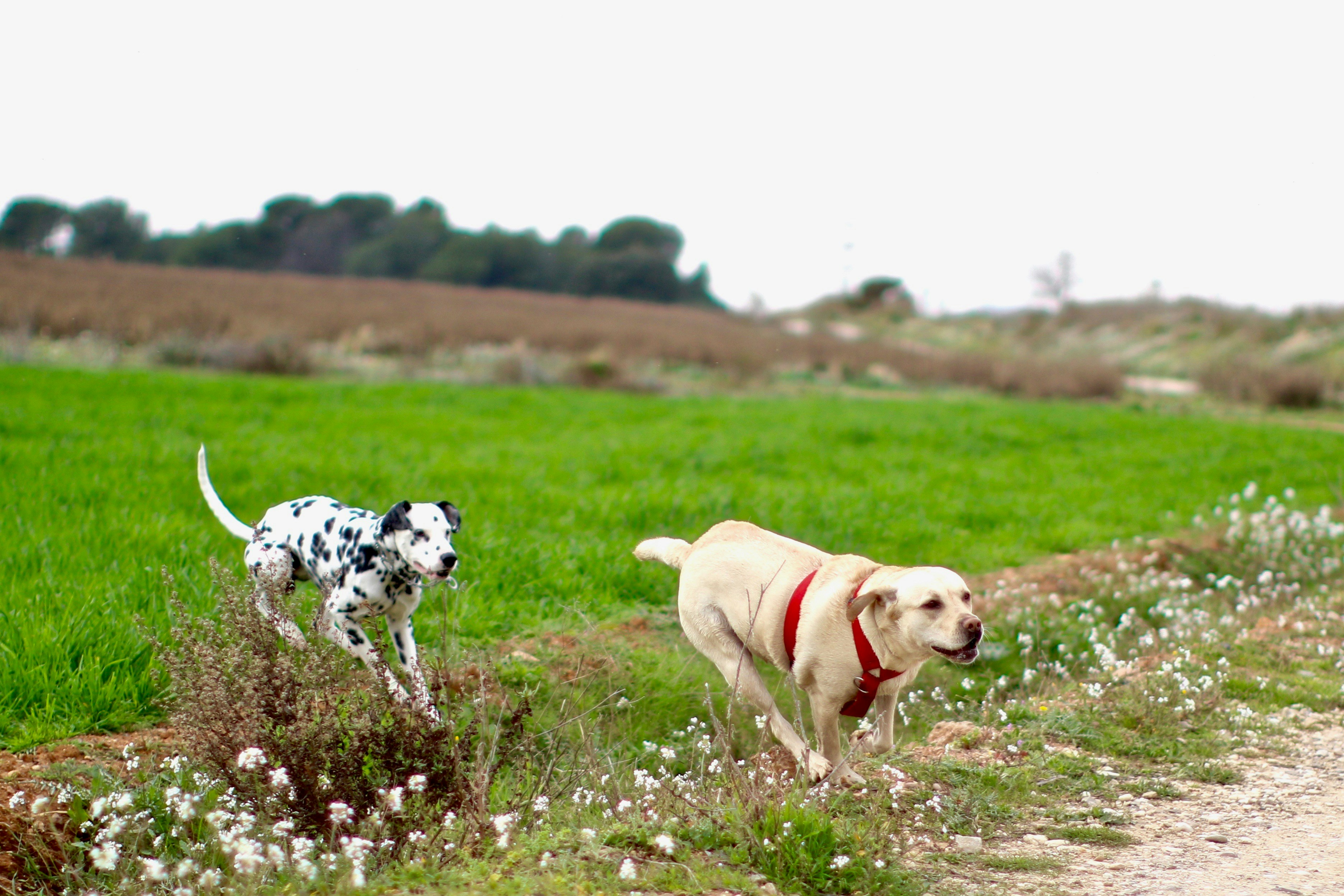 Free Unsplash photo from Jordi Zamora