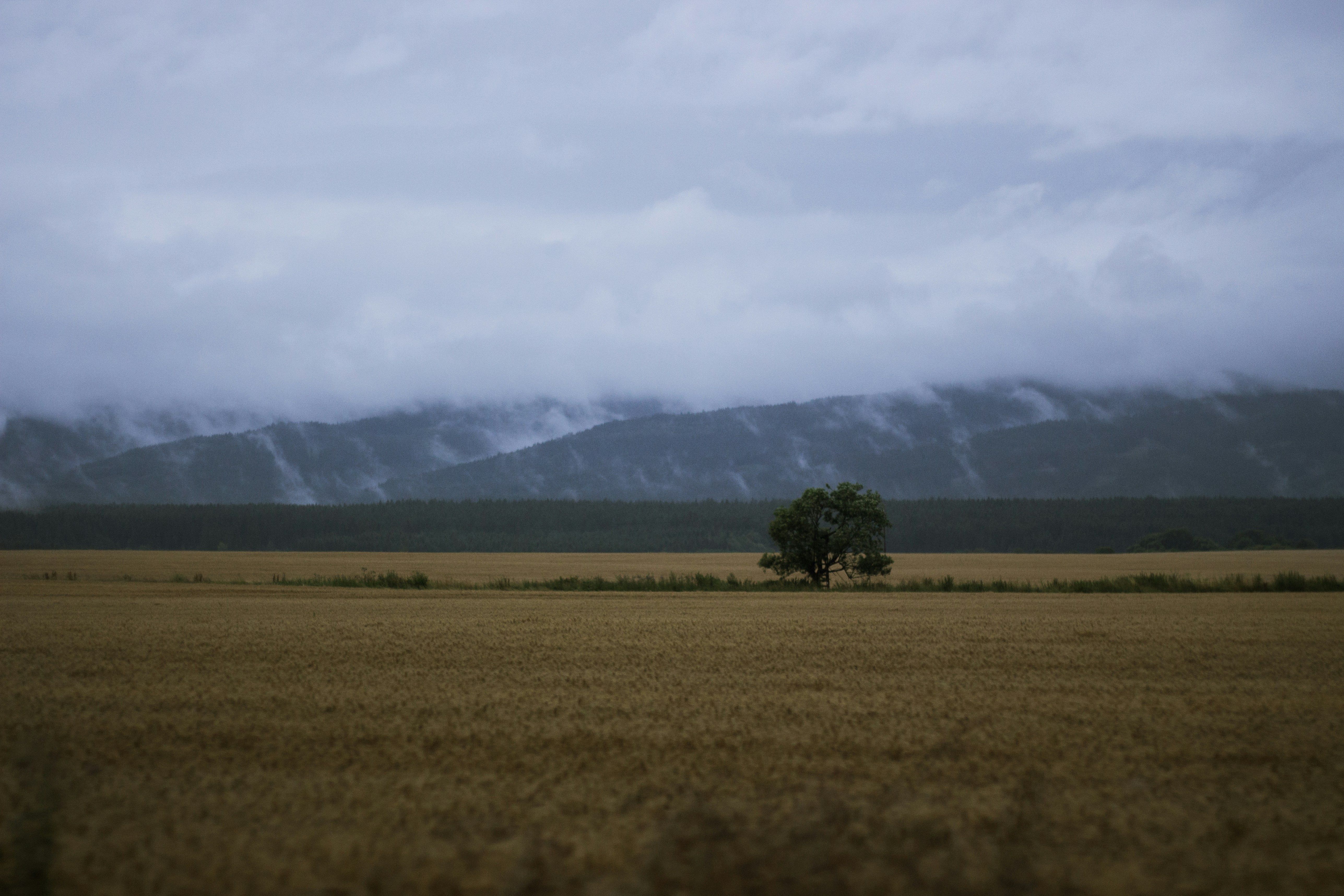 Free Unsplash photo from Peter Belák